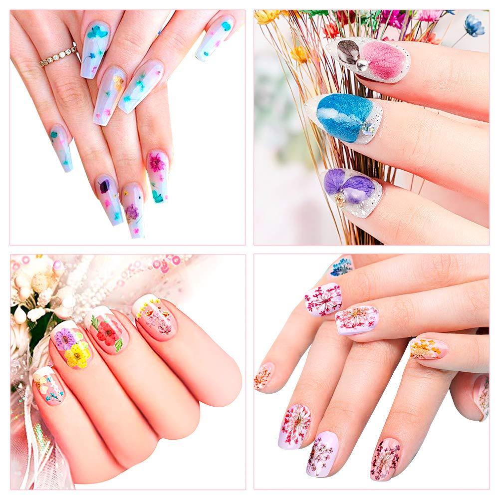3D Nail Decor Nail Pressed Floral Natural Dry Dried Flower Manicure Nail  Charms
