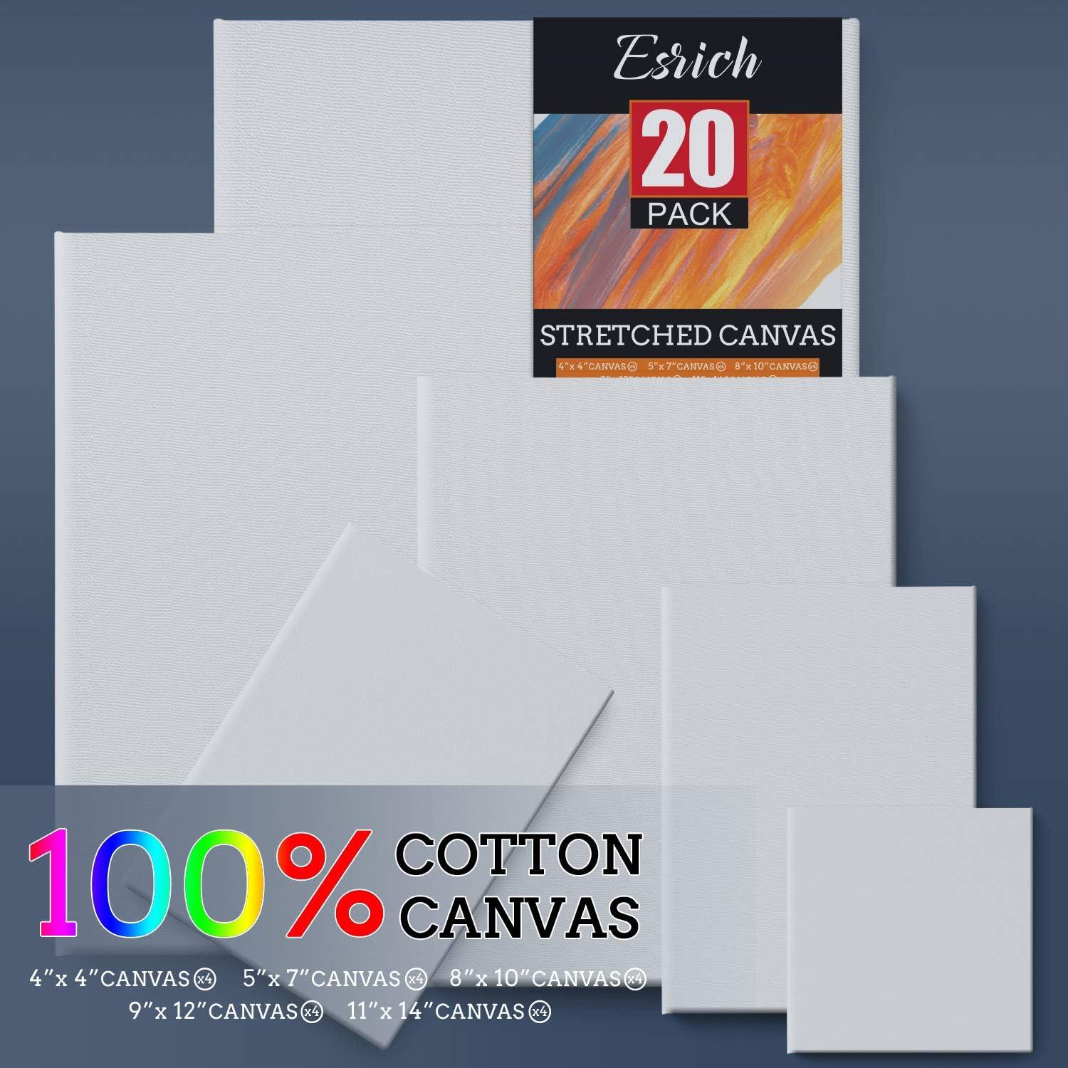  ESRICH Mini Stretched Canvas 12 Pack 4x4inch, 2/5