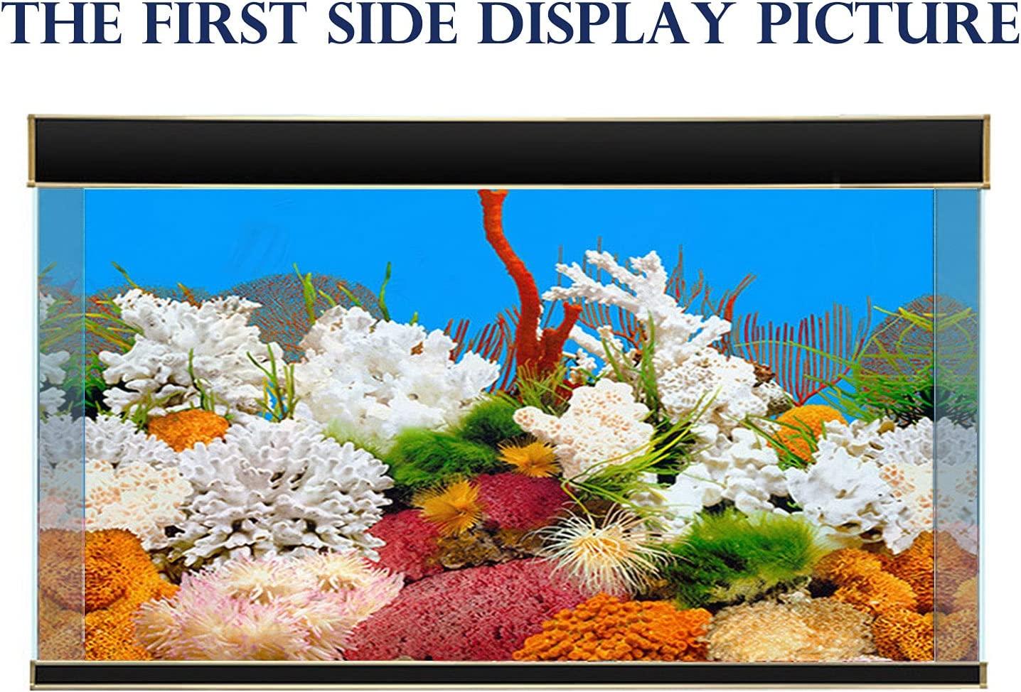 Aquarium Backgrounds, 12 X 21inch Double Sided Fish Tank