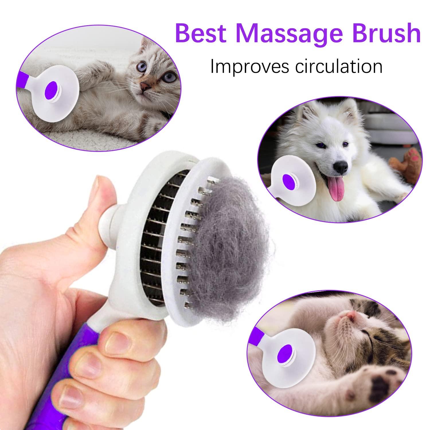 Best Dog Grooming & Cleaning Supplies in Kenya