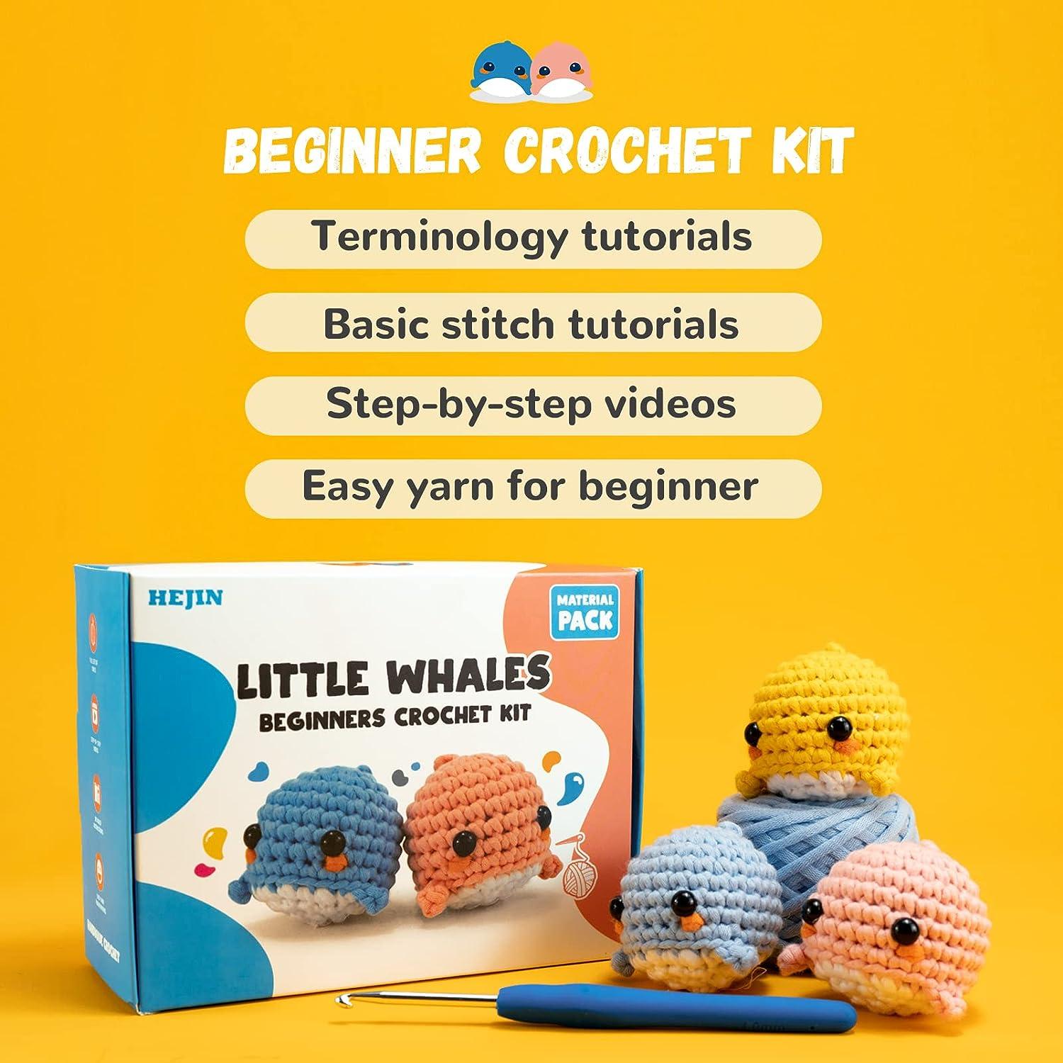  Crochet Kits For Beginners