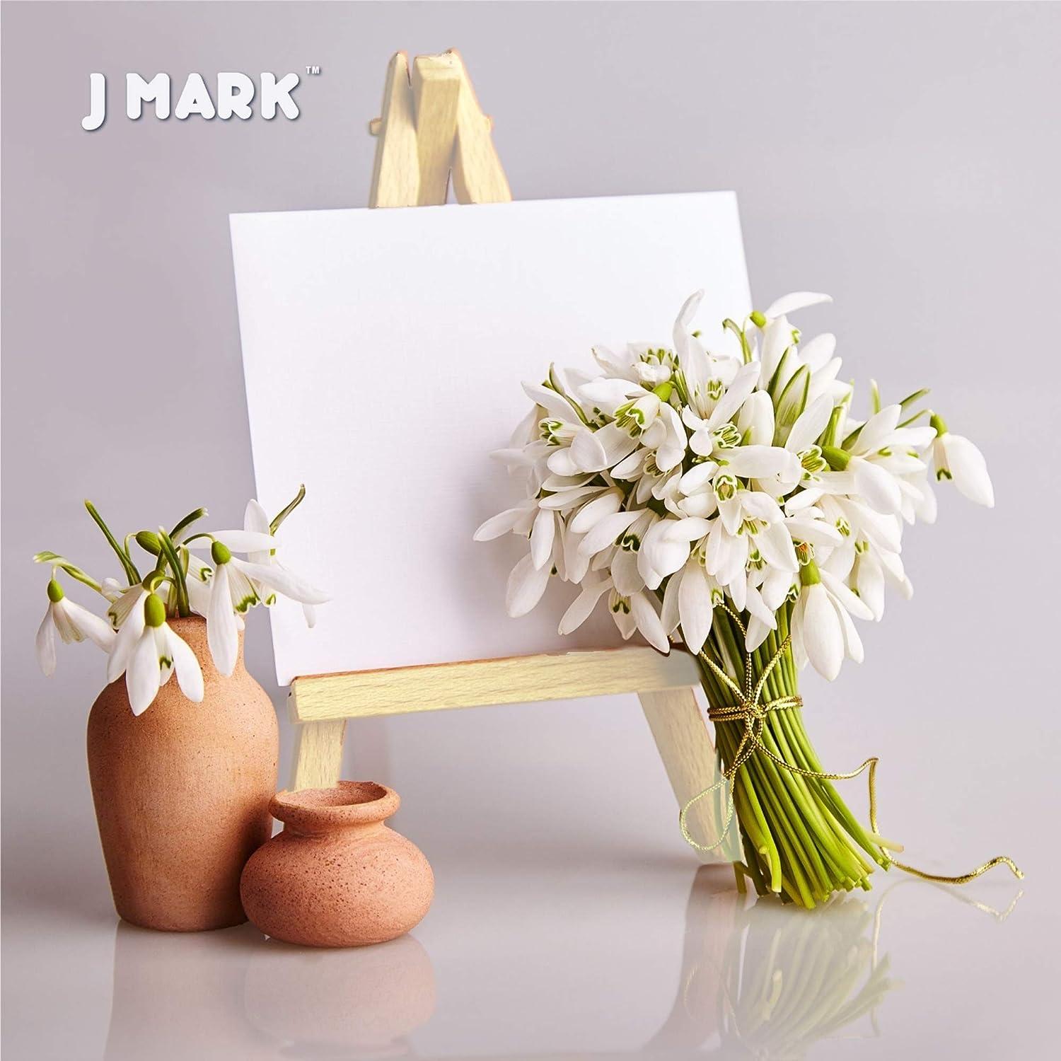 J Mark j mark kids painting kit - piece acrylic painting supplies
