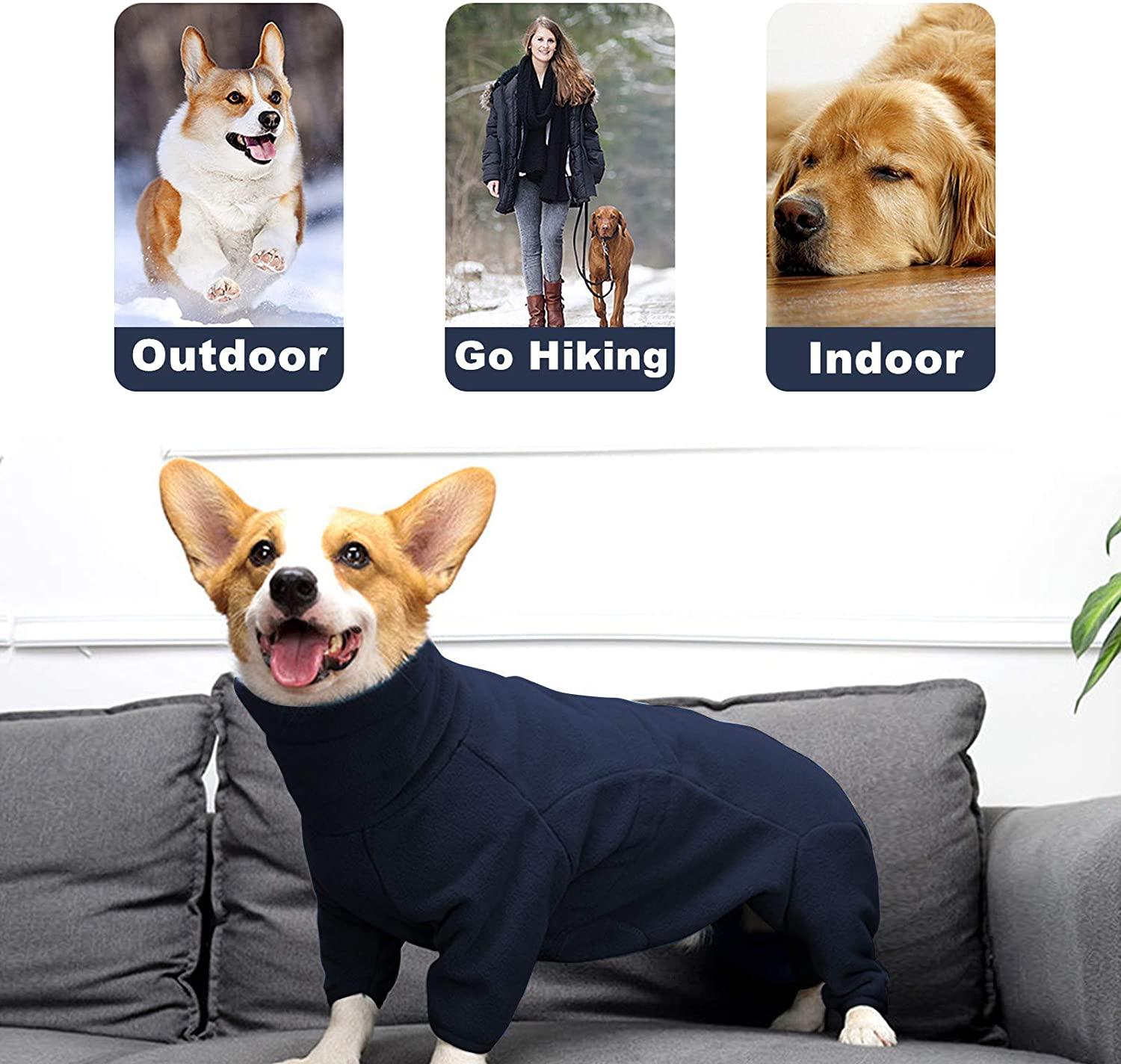 Sizing - Push Pushi Dog Raincoat and Posh Puppy Coat size & fit