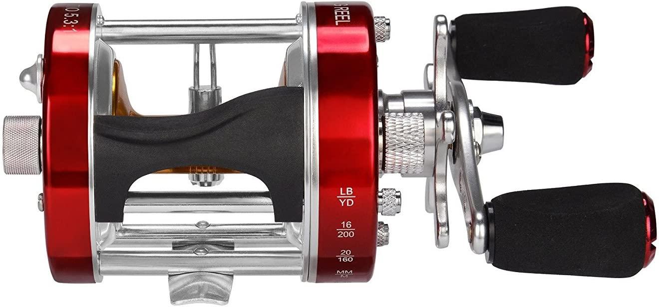 Baitcasting Reel, Perfect Conventional Reel for Catfish, Salmon