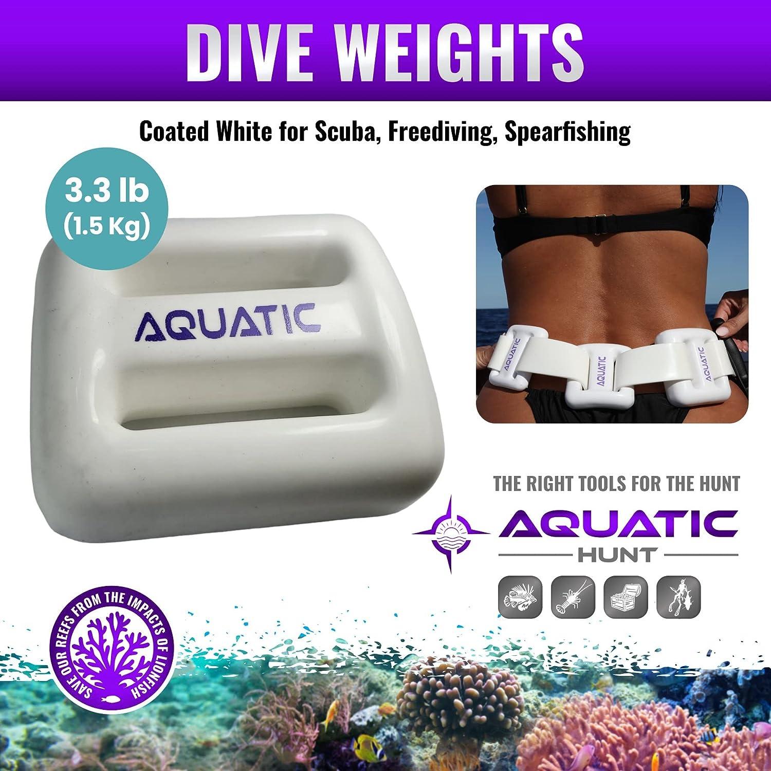 Arrow Weights Lead Weight Packages 24lbs (4x5lbs, 2x2lbs) perfect for Scuba  Diving BCs