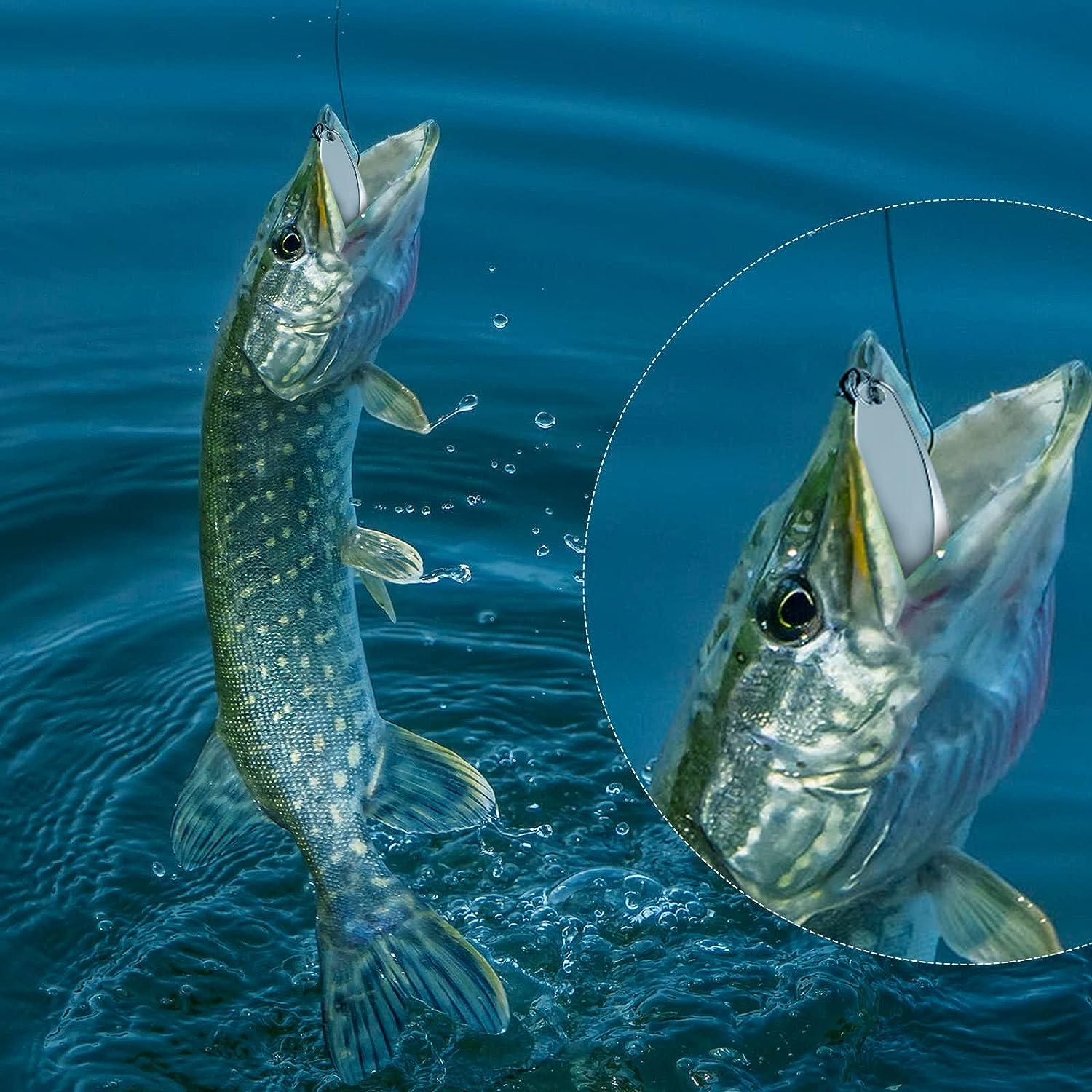 Fishing Lures Fishing Spoons Saltwater Treble Hooks Lures Hard Metal Spinner  Baits 5 Sizes Casting Spoon Lures for Salmon Bass in 1/5 oz 1/4 oz 3/8 oz  1/2 oz 3/4 oz Silver 20