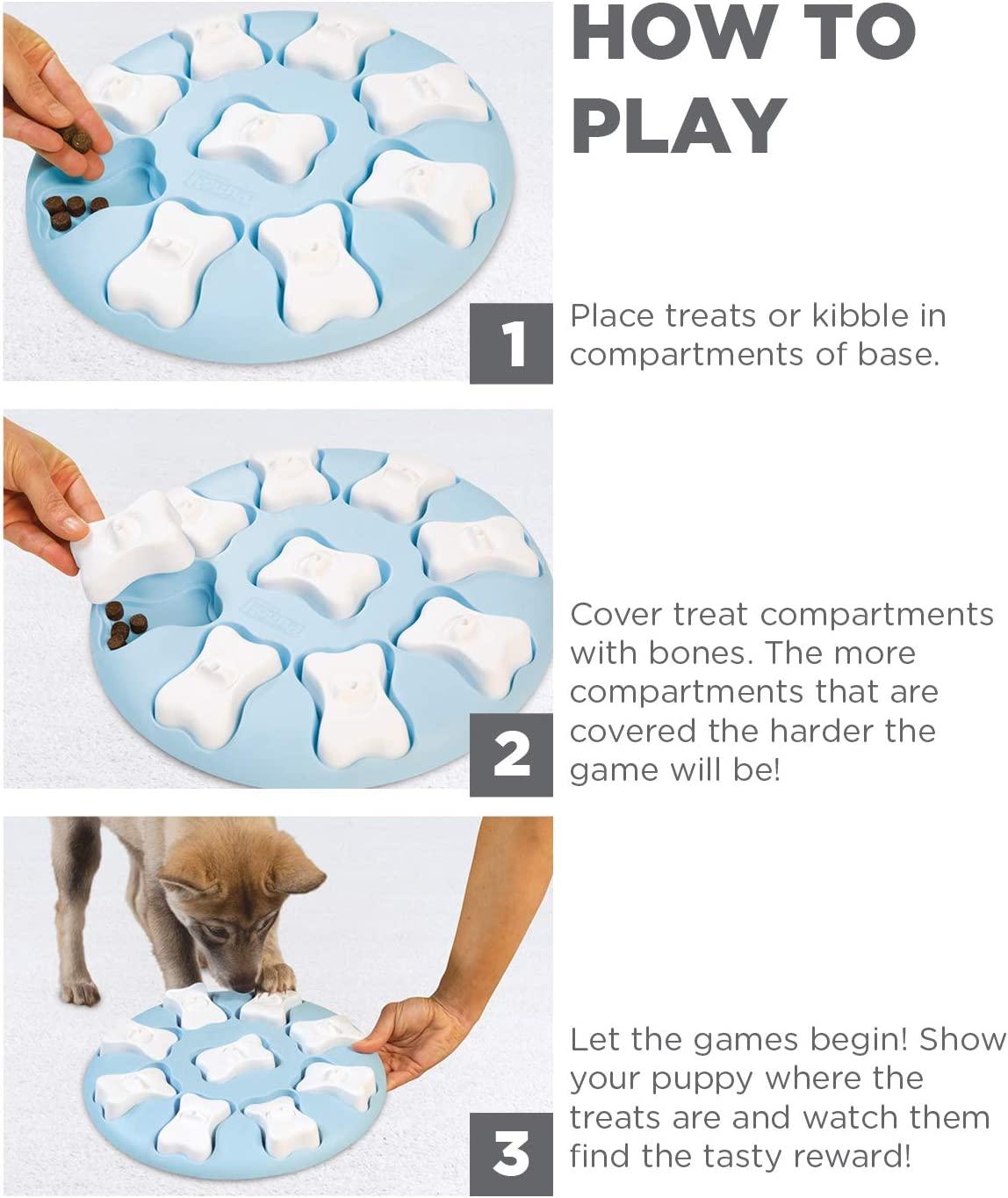 Outward Hound Puppy Smart Interactive Treat Puzzle Game Level 1 Hide Seek  Treat