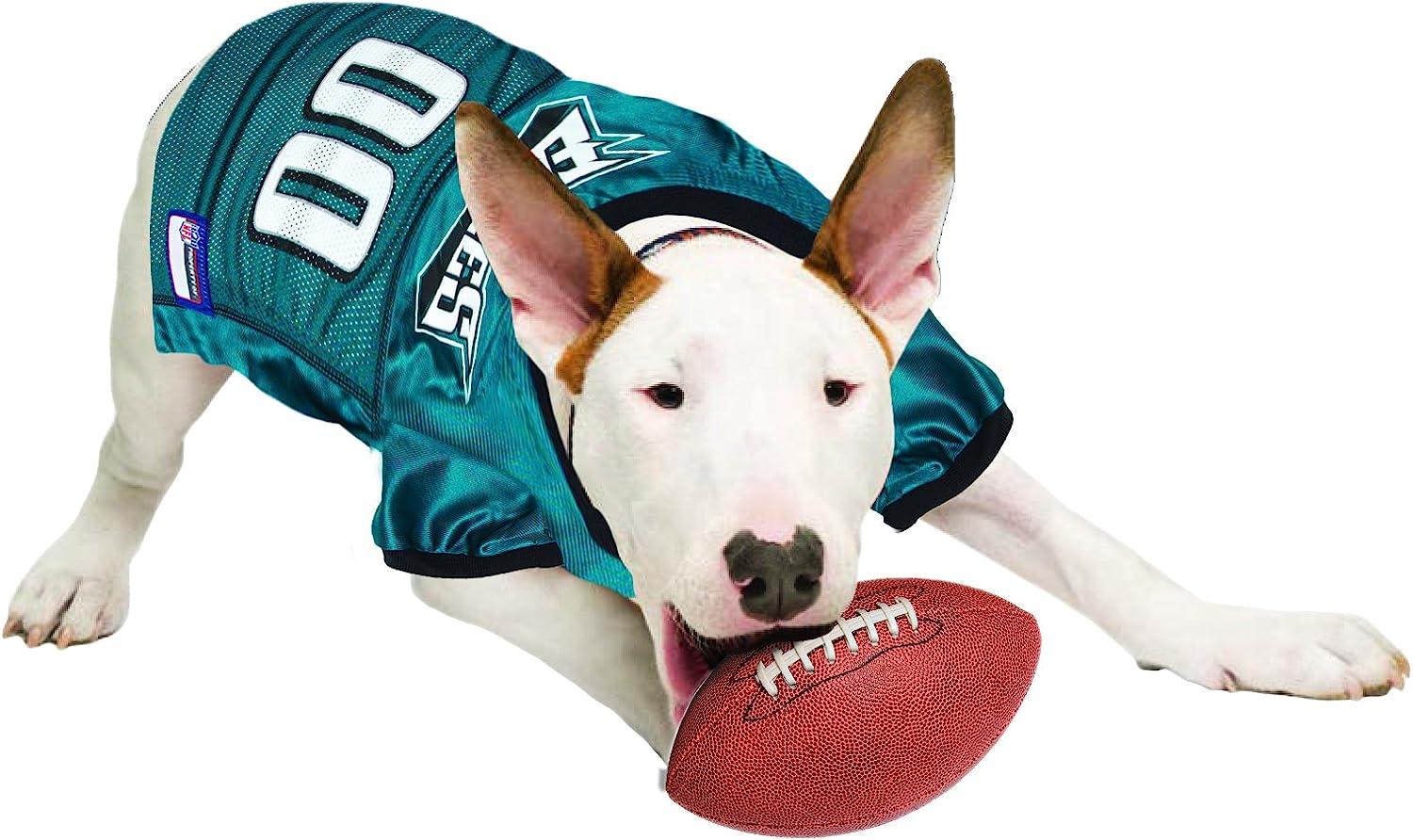 Pets First NFL Philadelphia Eagles Dog Collar, X-Large : : Pet  Supplies