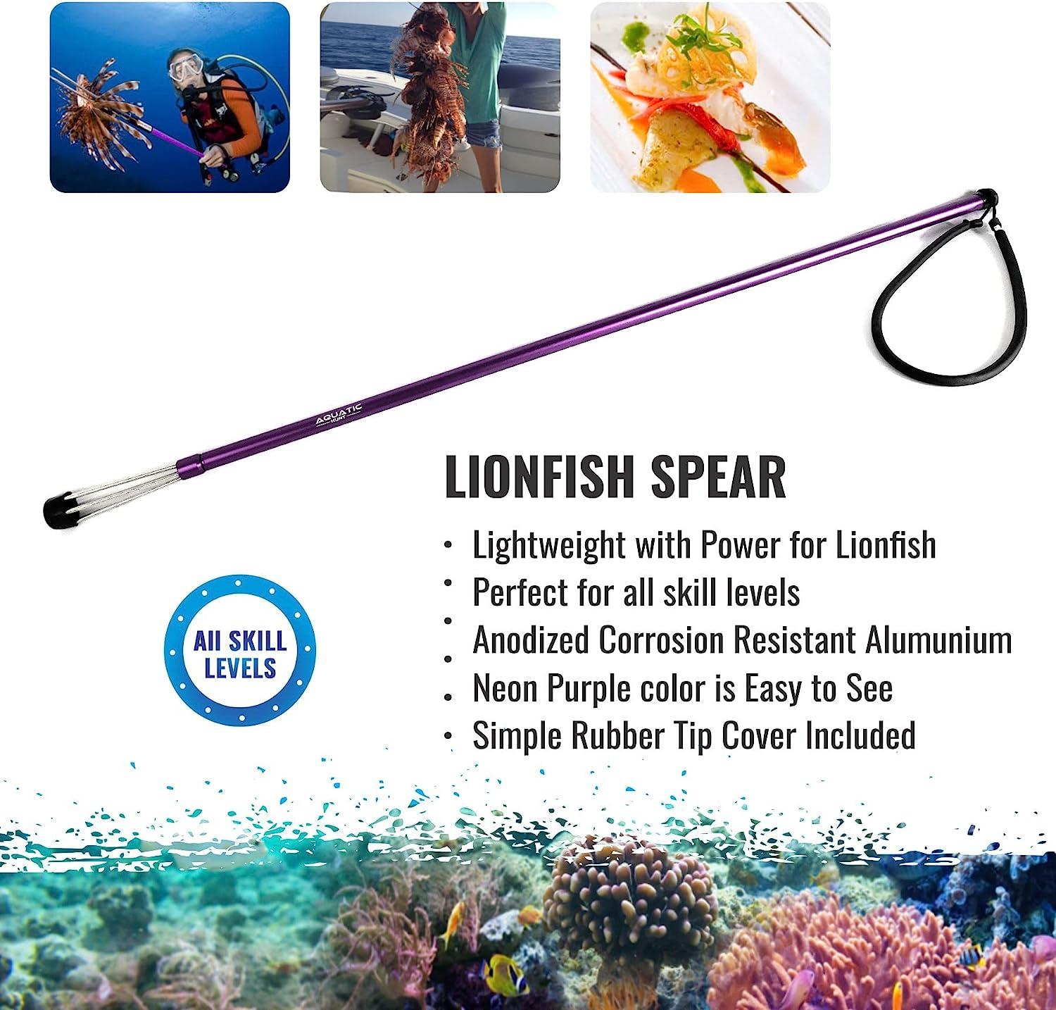 Aquatic Hunt - Spearfishing Diving Lionfish 36 (92cm) Pole Spear with 5  Point Non-Barbed Tip with
