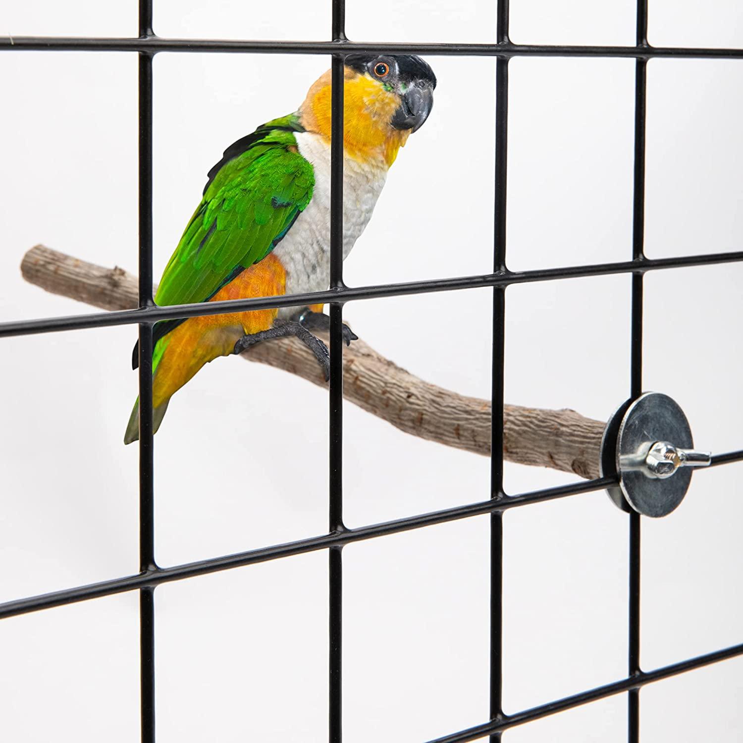 10Pcs Parrot Bird Perches Natural Wood Standing Stick Perch