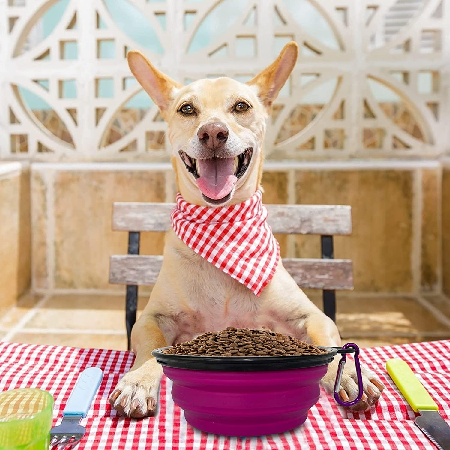 2 Collapsible food and water bowls with caribiner