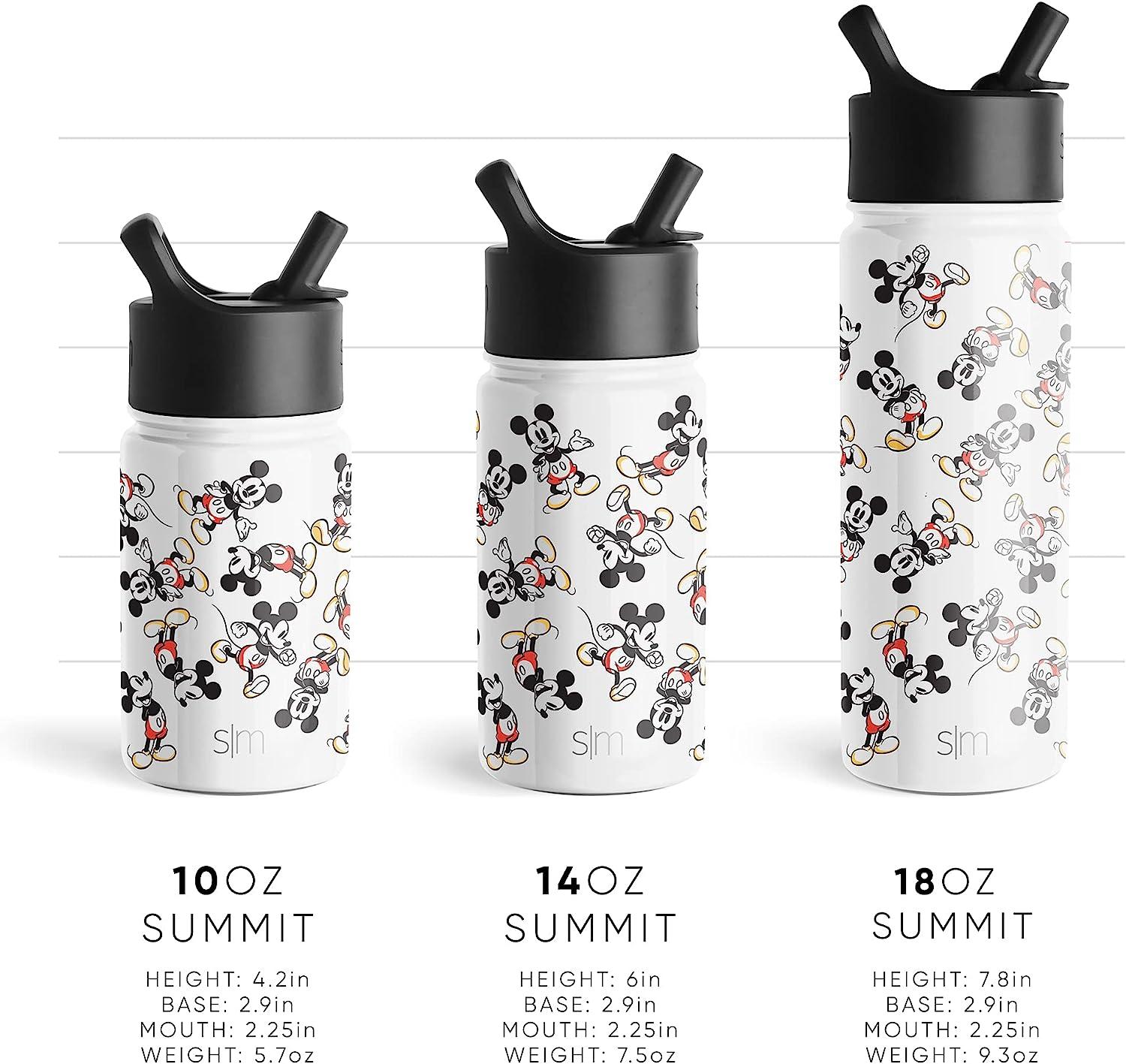 Simple Modern 14oz Summit Kids Water Bottle Thermos with Straw Lid -  Dishwasher Safe Vacuum Insulated Double Wall Tumbler Travel Cup 18/8  Stainless Steel - Turtles