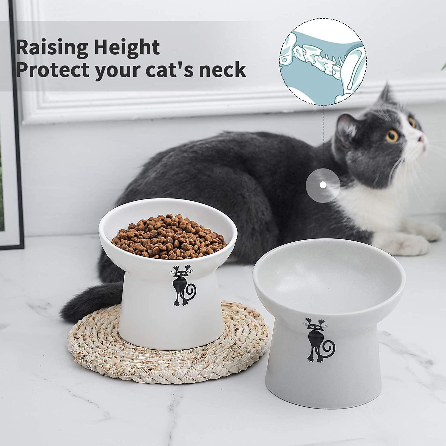 Prefurred Pet Elevated Cat Food Bowl Set. Two Elevated Cat Bowls, Cat  Dishes for Food and Water. Porcelain Raised Cat Bowl, Small Pet Dog Bowl.  Wide Tilted Cat Food Bowls. DINNER/DRINKS