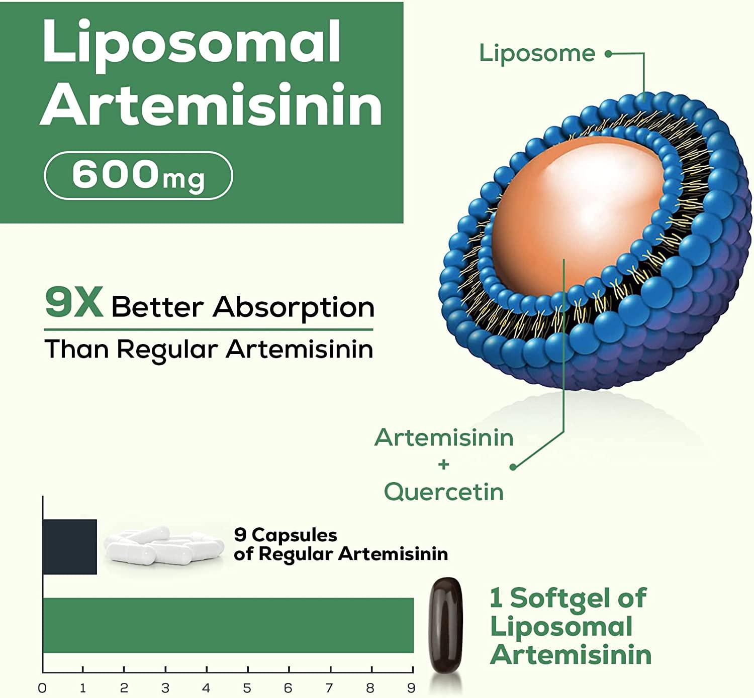 Artemisia Annua, How Does Artemisinin Work