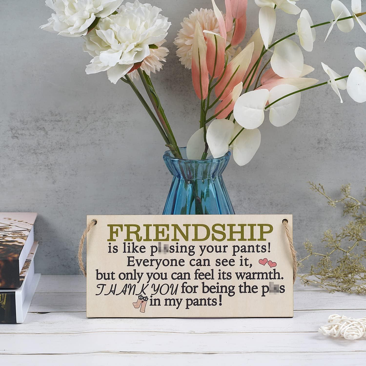 Friend Gifts For Women Best Friend Funny Friendship Gift For Women Under 10  15 Dollars Wood Plaques Sign Gift For Her Womens Special Friends Bff 10  Gifts For Woman Prime New Funny