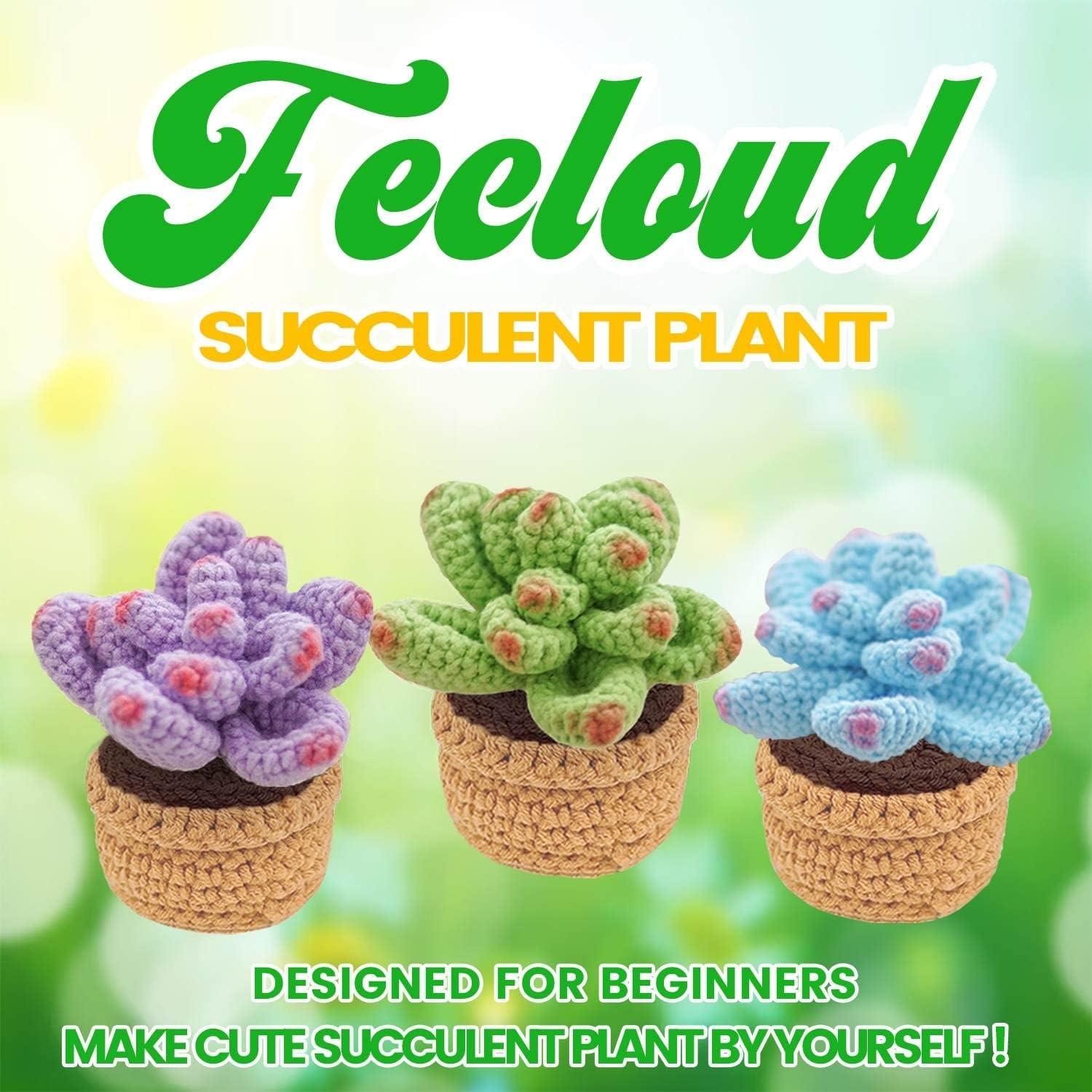Crochet Kit for Beginners - 4Pcs Succulents for Adults, Crocheting Knitting  Kit with Step-by-Step Video Tutorials