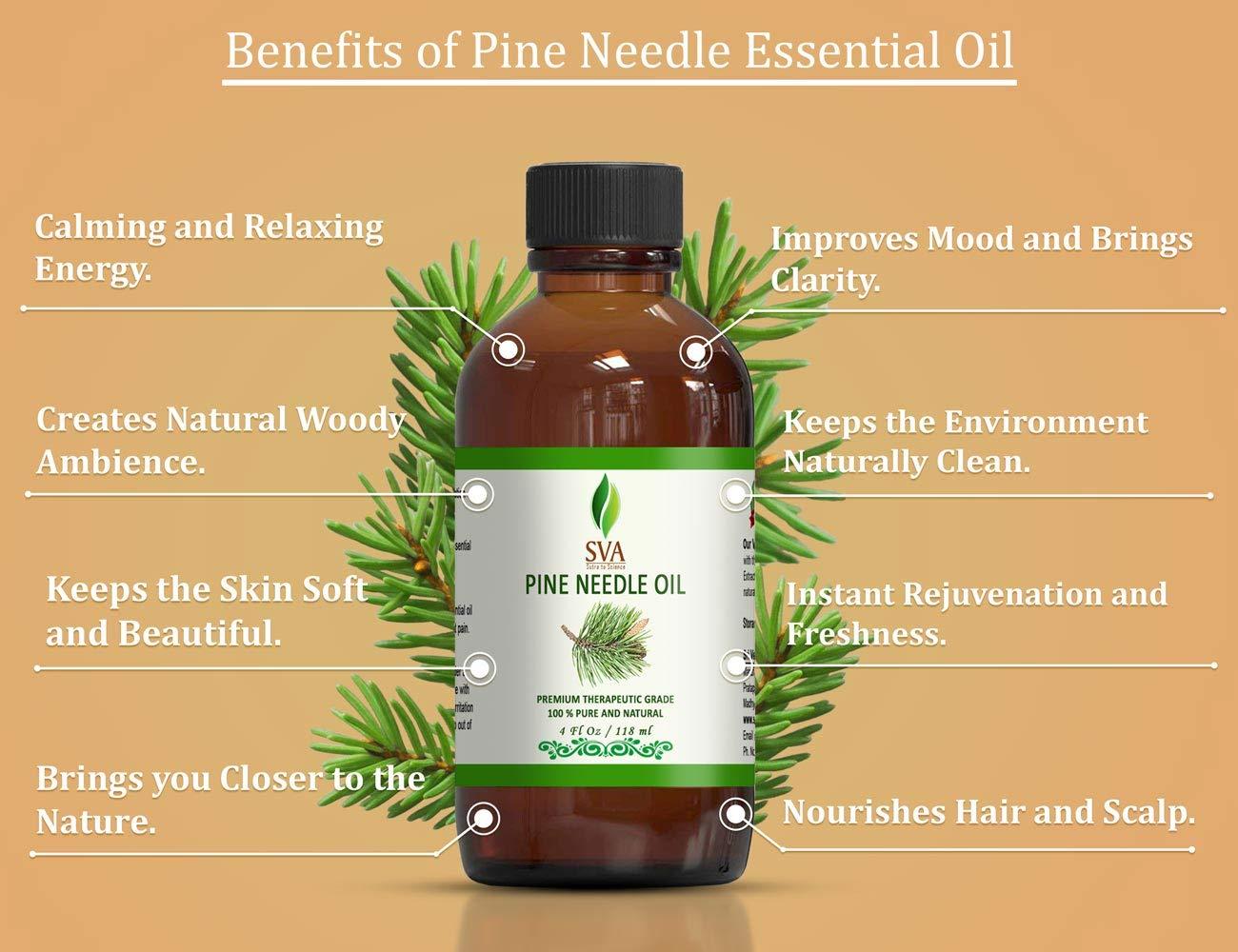 A long list of pine needle benefits I Sassy Organics