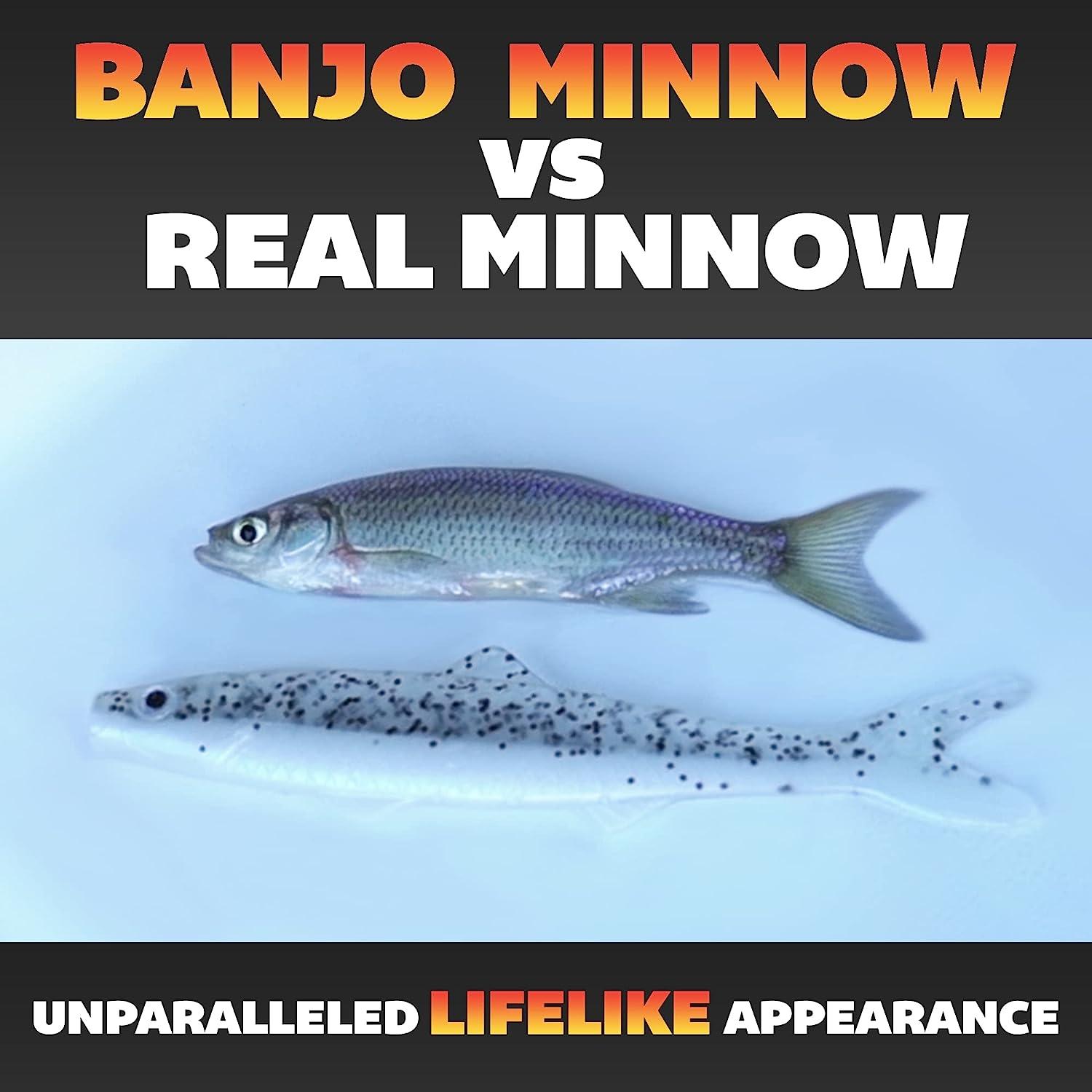 Banjo Minnow 100 Piece Kit + Lifelike Lure for All Fish + Freshwater &  Saltwater Fishing Lure, Jigs -  Canada