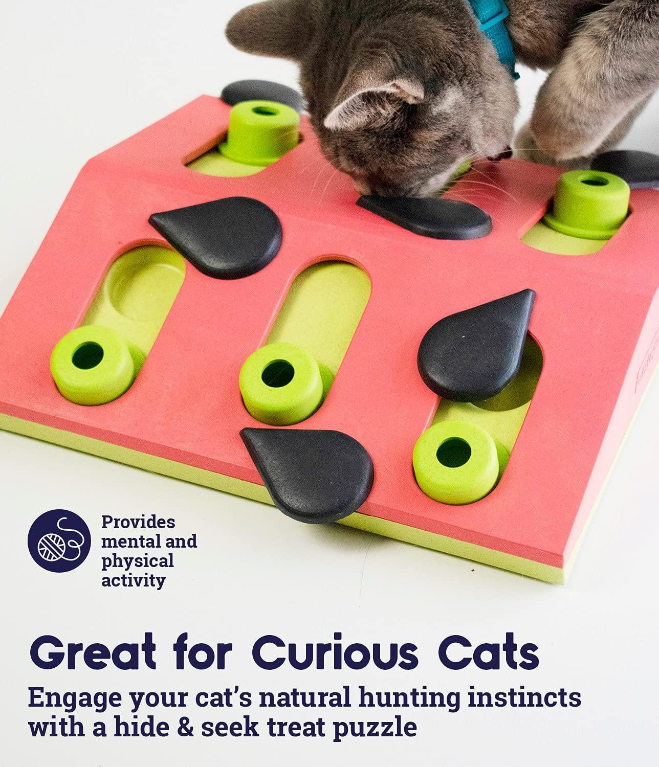 Food puzzles for cats: Feeding for physical and emotional