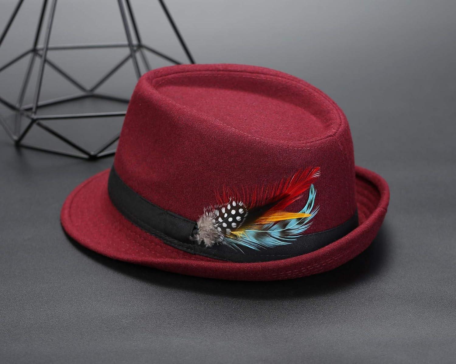  FALETO Hat Feathers Natural Feather for Hats & Fedoras