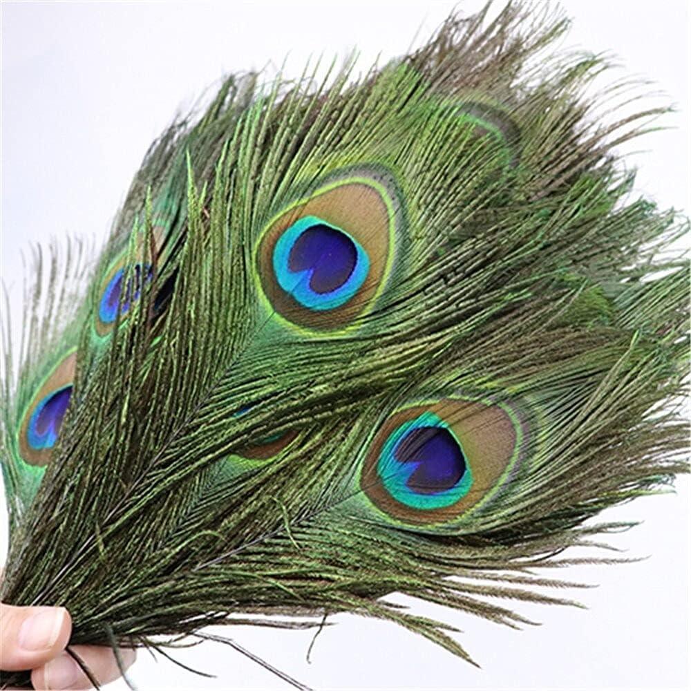 Craft Feathers , Peacock Feathers 