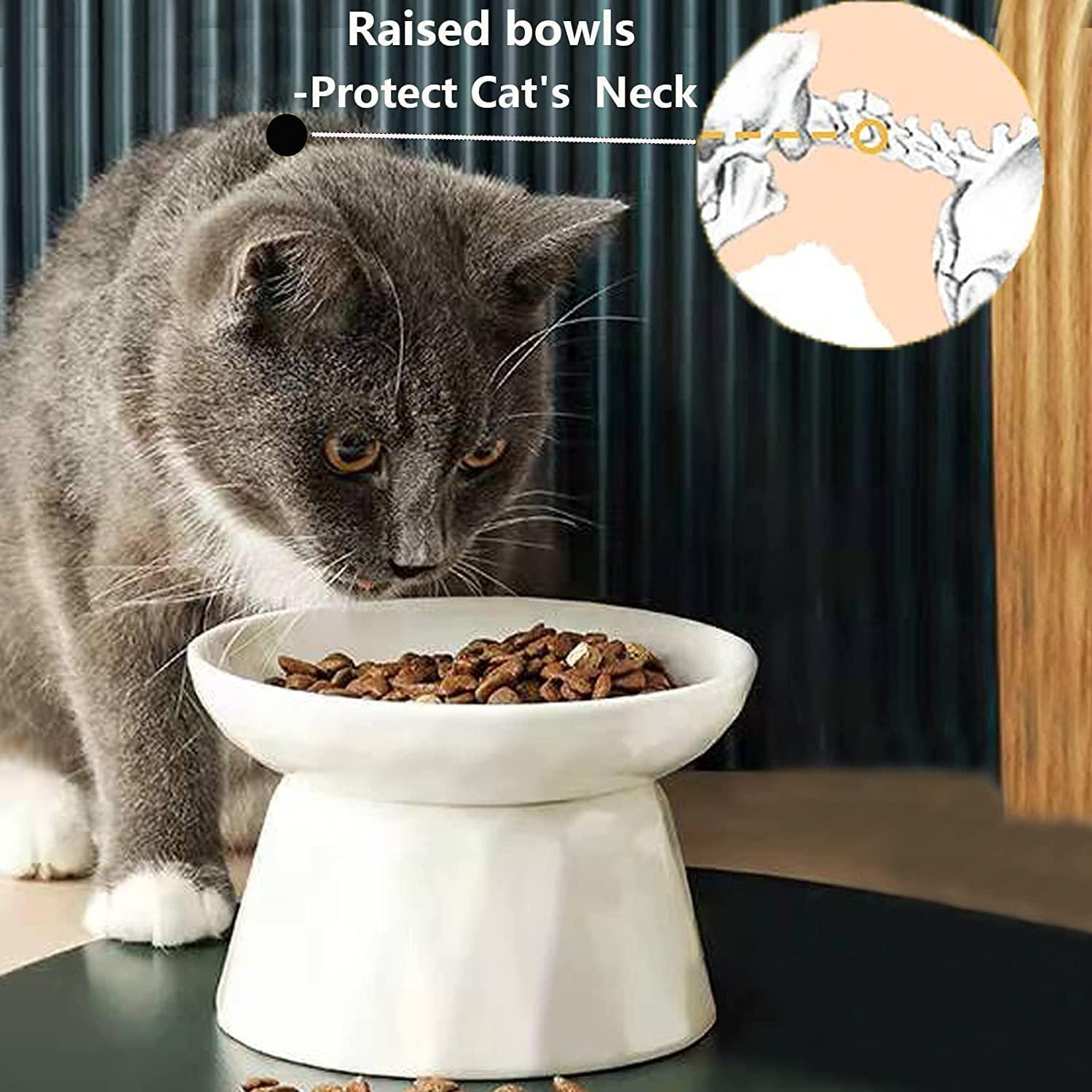 Maitys 2 Pcs cat Slow Feeder Bowl Pet Feeder Wet Food Slow Feed Raised Dish  Healthy