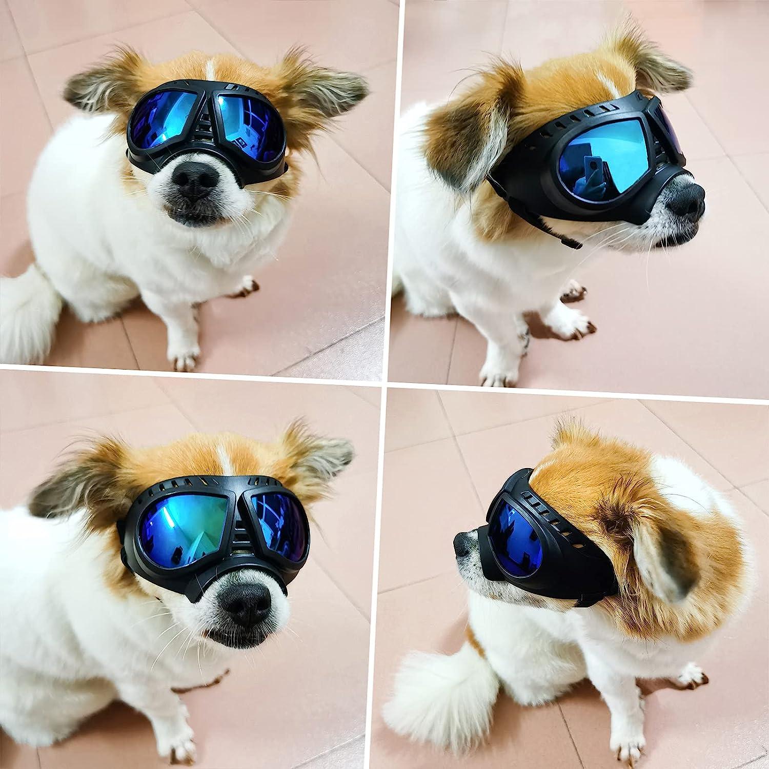 NAMSAN Dog Sunglasses Medium Breed UV Protection Dog Goggles for Small to  Medium Dogs Windproof Anti-Fog Snowproof Puppy Glasses, Easy  Wear/Adjustable