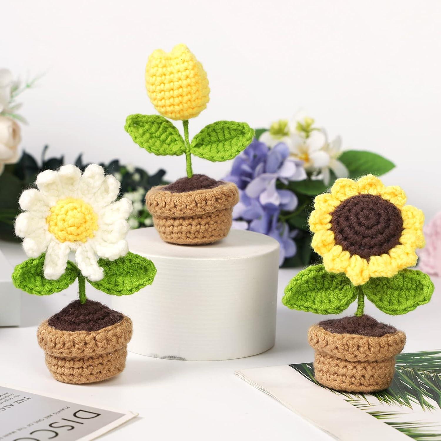 PP OPOUNT Beginner Crochet Kit - 3 PCS Potted Plants Complete Crochet Kit  for Beginners Starter Pack for Adults and Kids with Step-by-Step  Instructions and Video Tutorials (Patent Product)