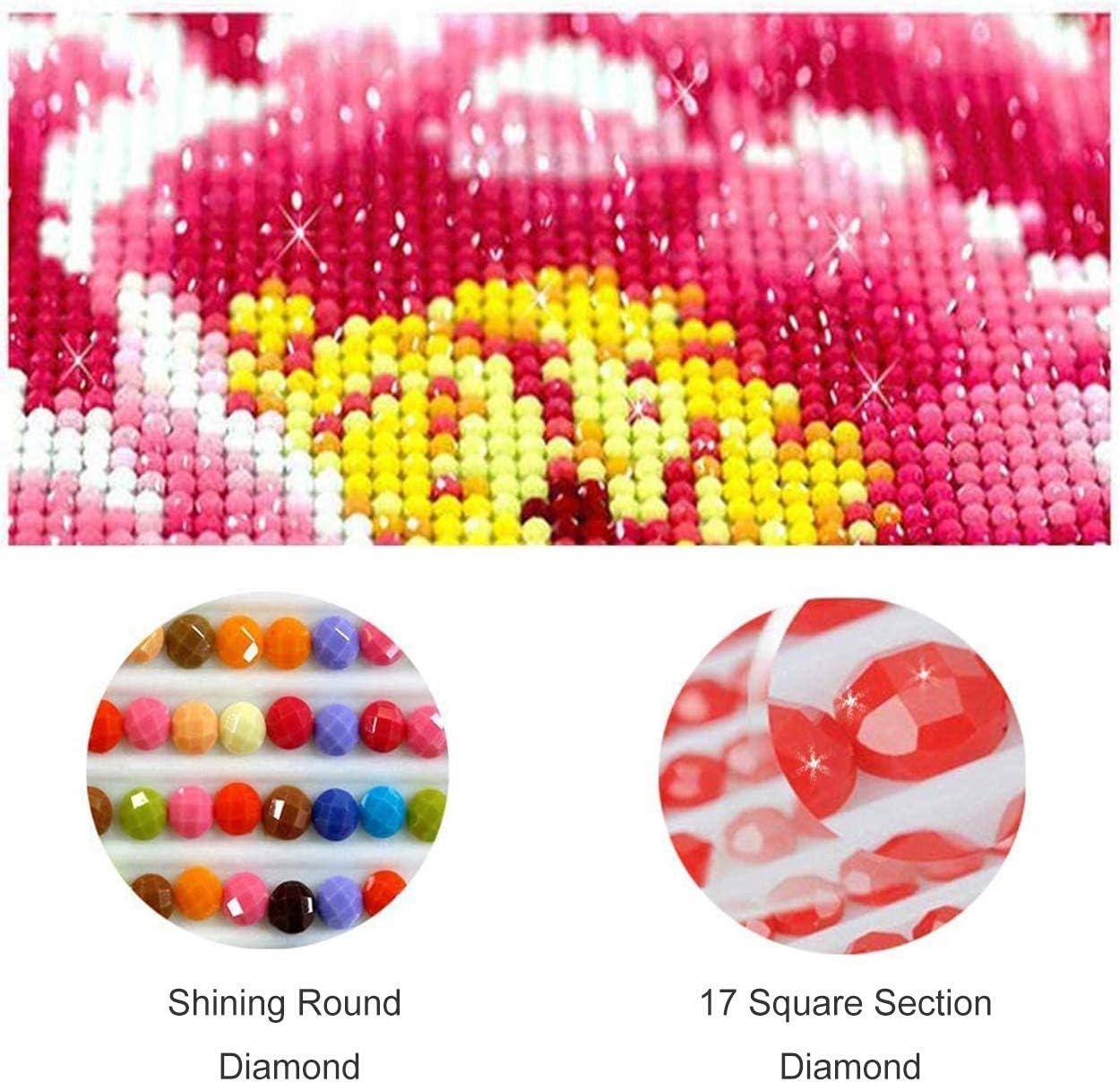 Diamond Painting Little Boy, DIY 5D Large Diamond Art Kits for Adults  Embroidery Round Full Drill Dots Crystal Rhinestone Paint by Numbers Kids