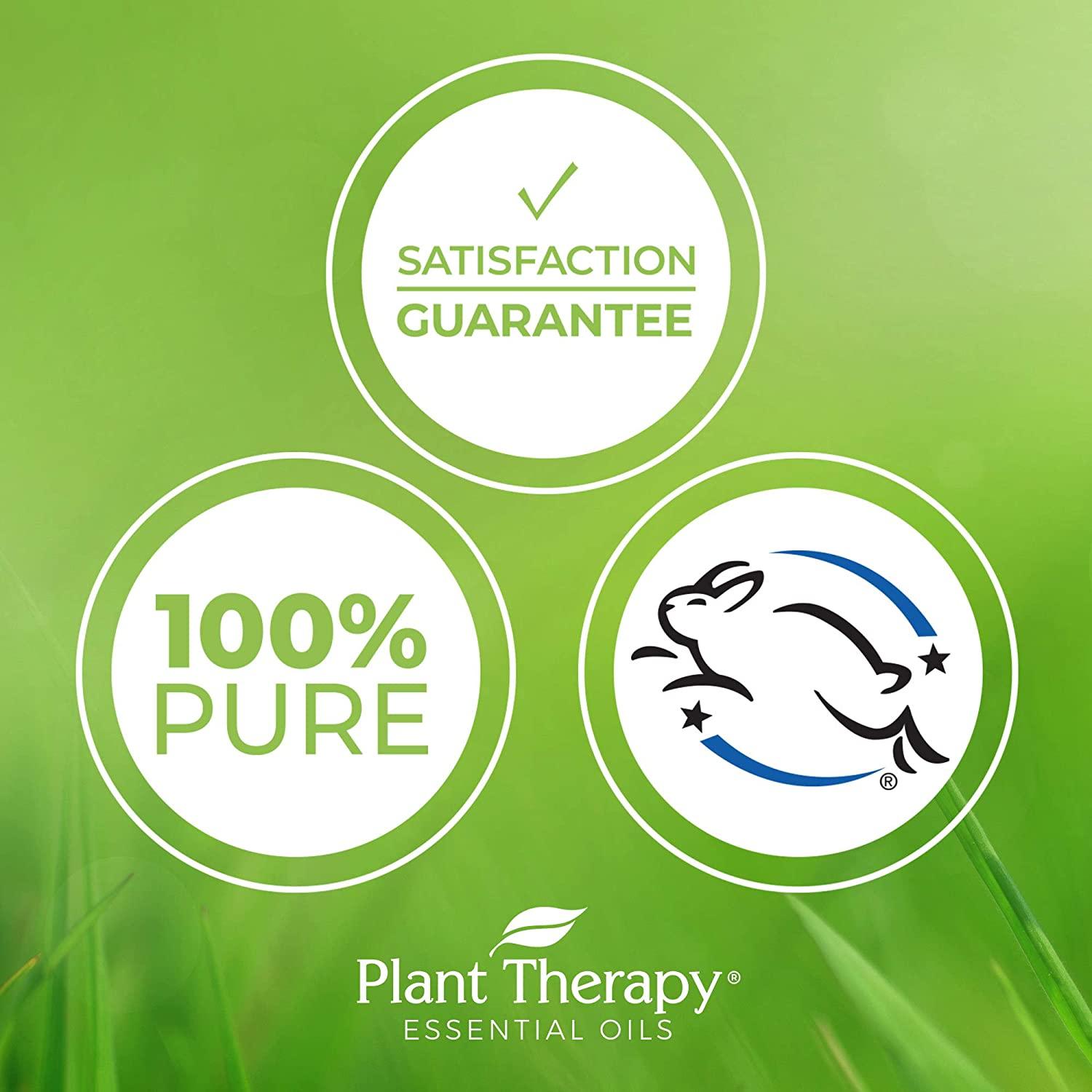 Plant Therapy Soft Skin Essential Oil Blend 10 mL (1/3 oz) 100% Pure,  Undiluted, Therapeutic Grade