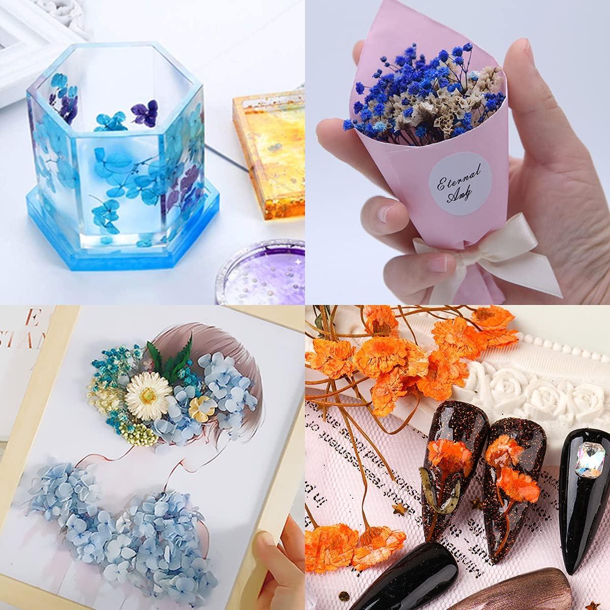 Dried Flowers for Resin 2 Box Mixed Multiple Assorted Real Flowers Dried  Flowers for Candles Jewelry Crafts Scrapbooking Decoration Craft Flowers