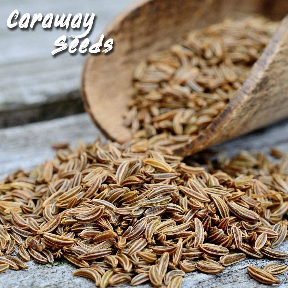 Caraway Seed  THE SPICE MAN