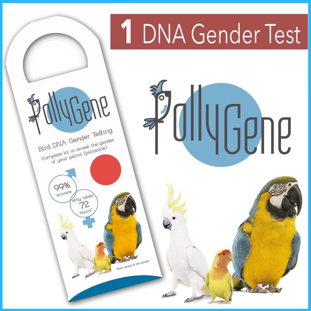 Bird Sexing Dna Slim Sample Card Gender Reveal Test For Parrots Macaws Lovebirds Cockatoos