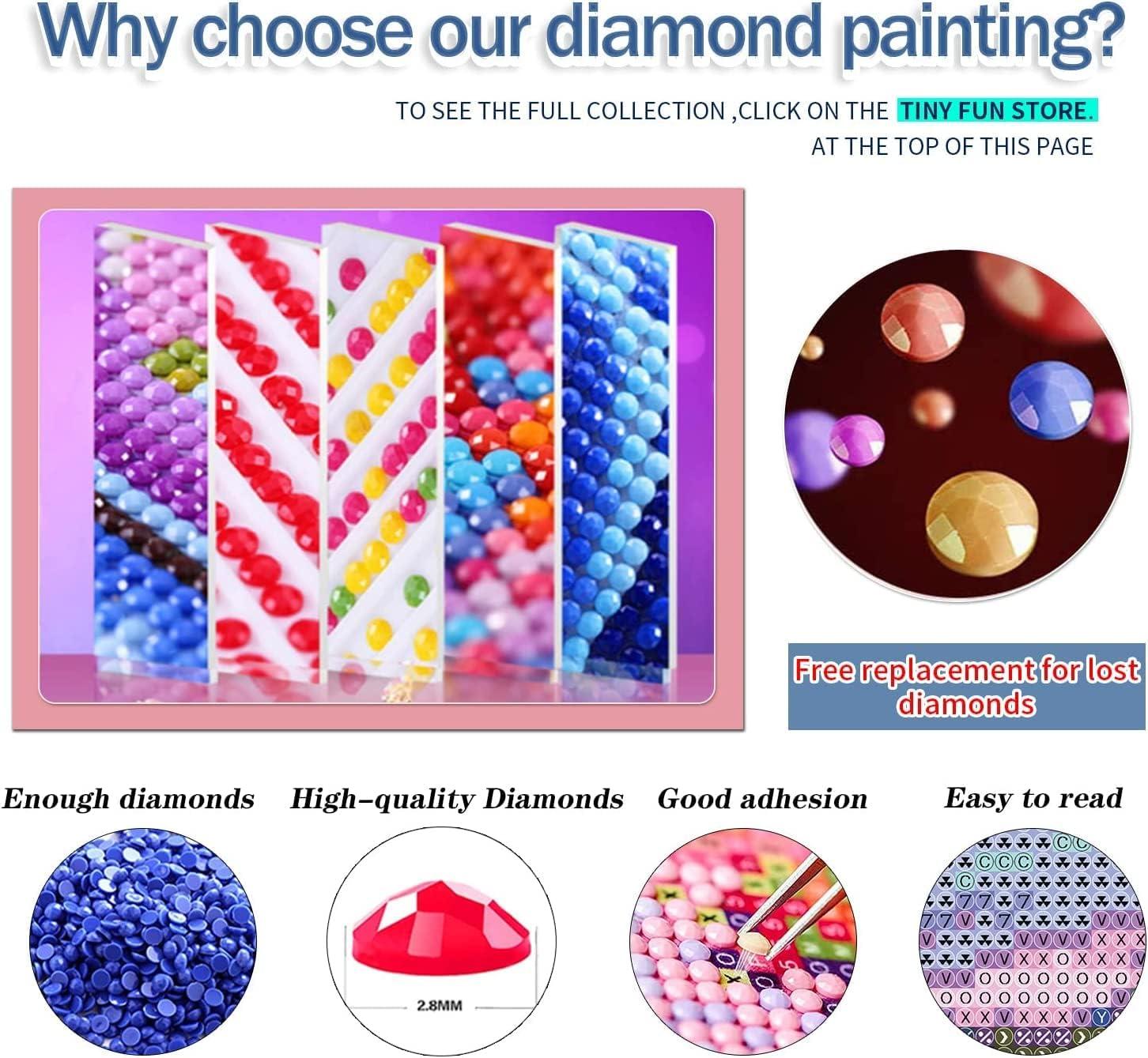 Hulameda 56ps- 5D Diamond Painting Accessories & Tools Kits for Kids or  Adults to Make Diamond Painting Art