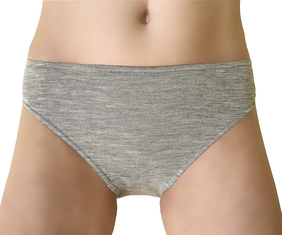 Womens Briefs - 84% Merino Wool - Athletic Underwear - Moisture Wicking  Underwear - Slate Blue - X-Small at  Women's Clothing store