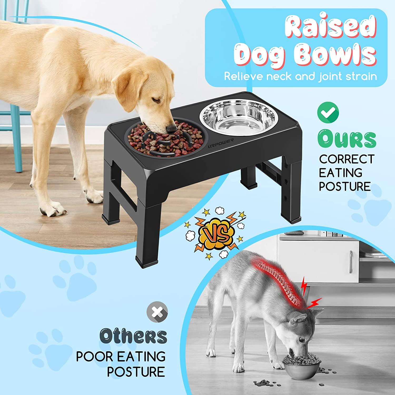 Elevated Dog Bowls 4 Adjustable Heights Raised Dog Food Water Bowl for Pet  Dogs