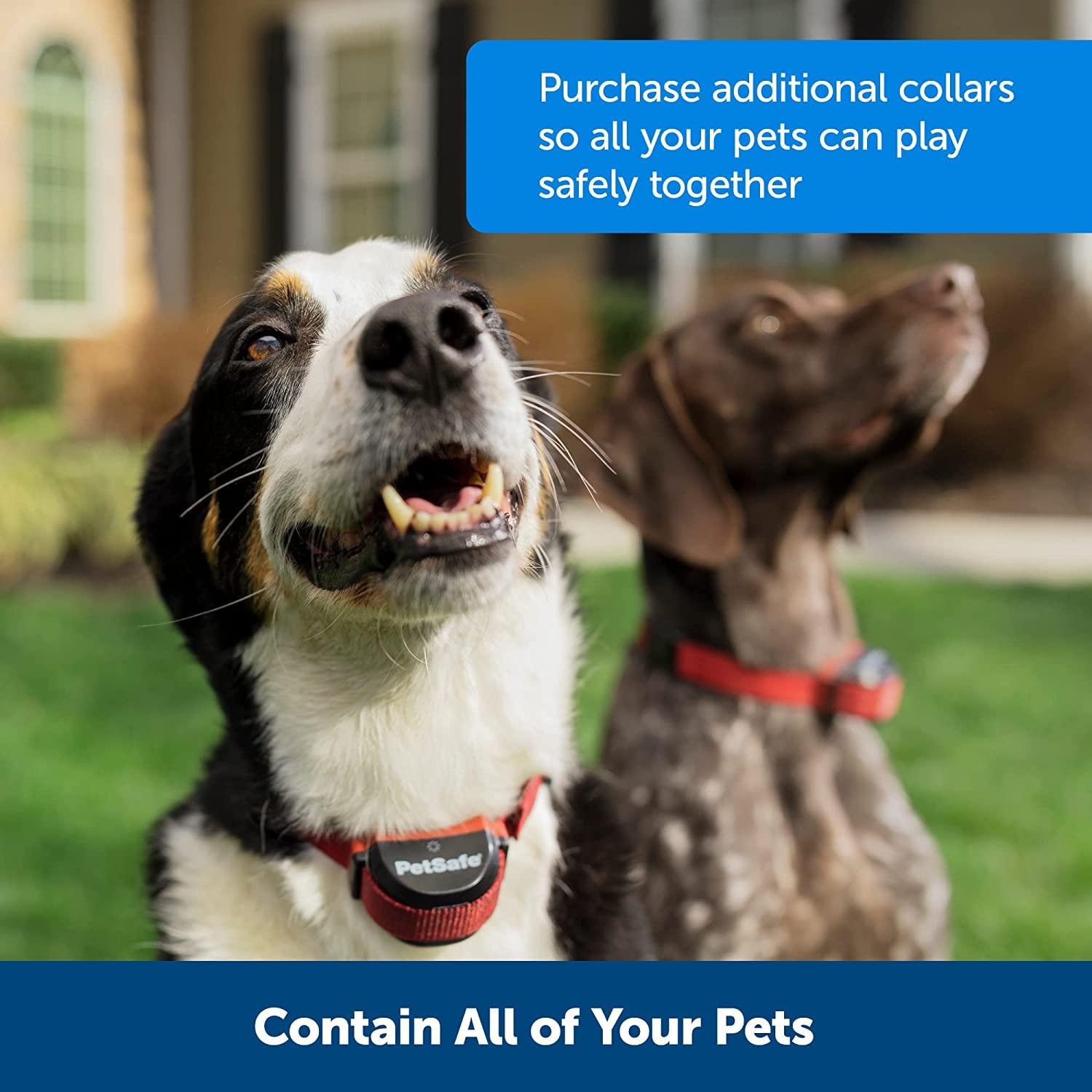 PetSafe Stay & Play Wireless Fence for Stubborn Dogs Above Ground