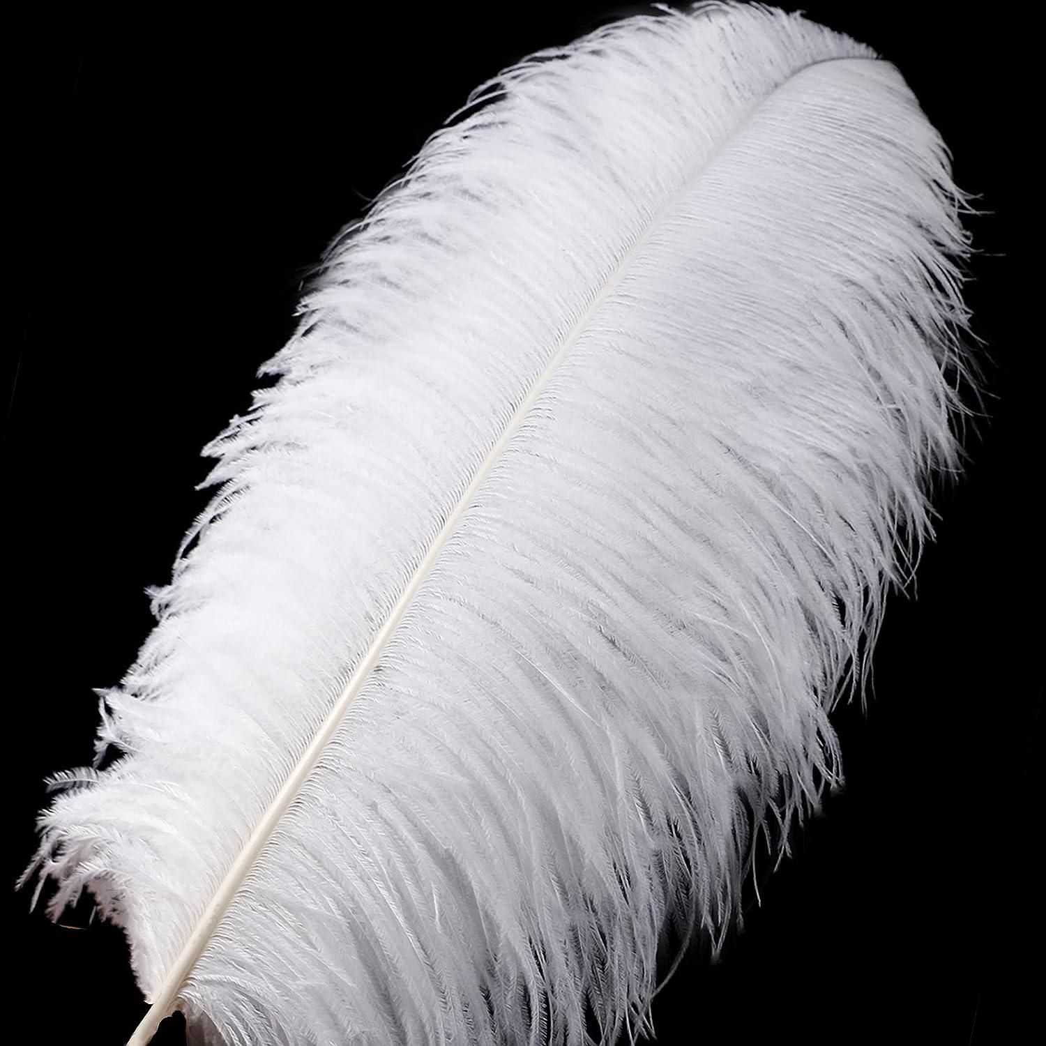 Larryhot White Craft Feathers Bulk - 240pcs 6 Style Mixed Natural Feathers  for Wedding Home Party, Dream Catcher Supplies and DIY Crafts (White)