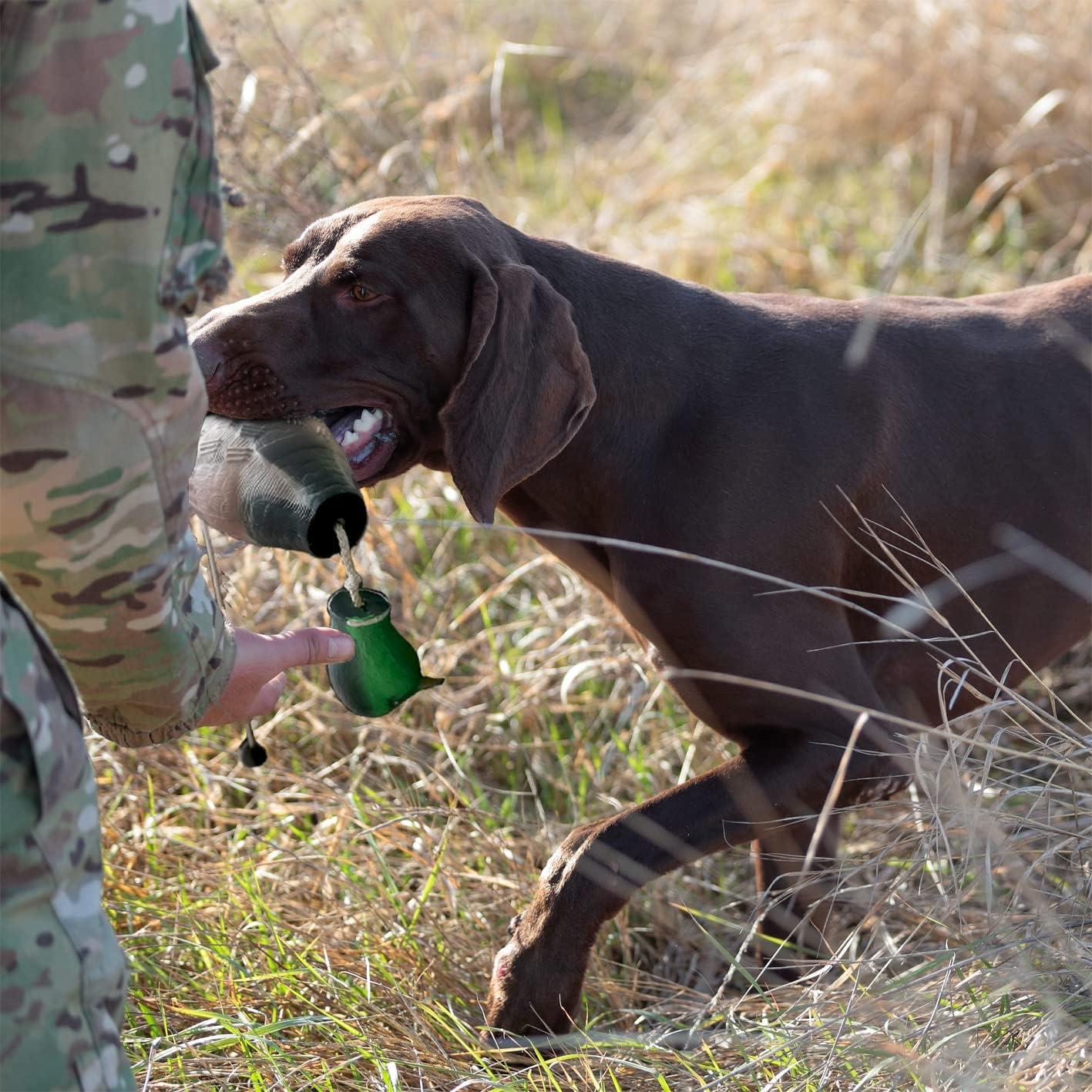 Duck Dog Tip of the Week: Introducing your Pup to Training Dummy - Delta  Waterfowl