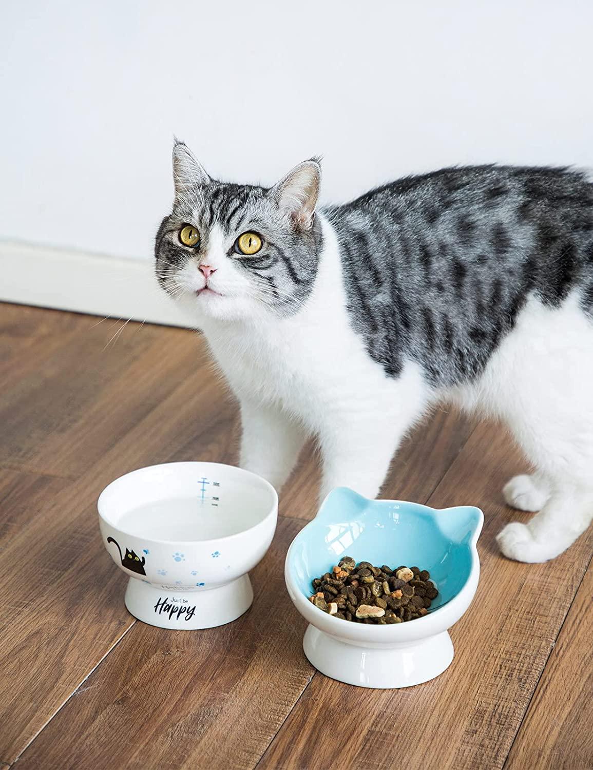 Necoichi Raised Cat Water Bowl : Target
