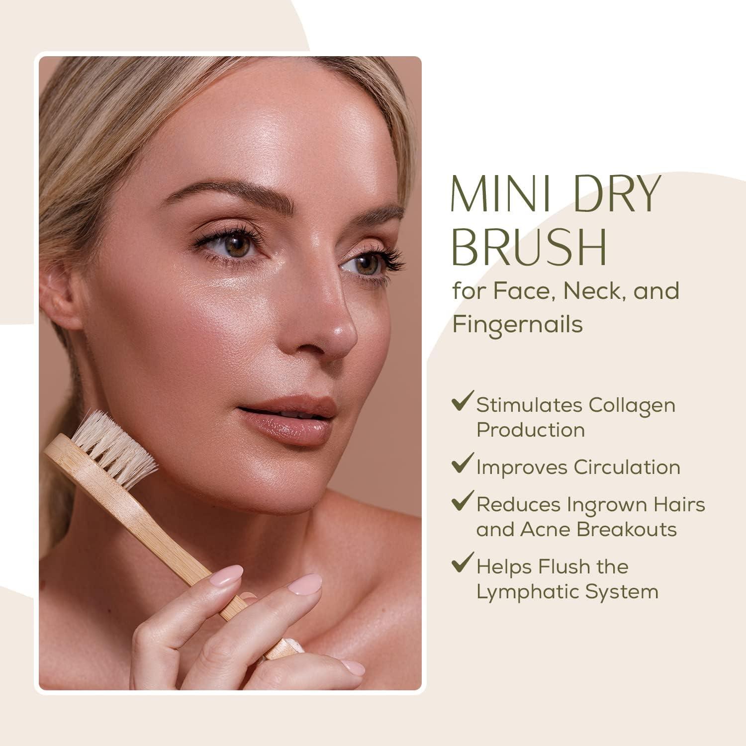 CSM Mini Dry Brush - Natural Bristle Small Body Brush Exfoliating Facial  Cleansing Brush for Soft Skin and Other Sensitive Areas Like Your Neck  Chest and Nails