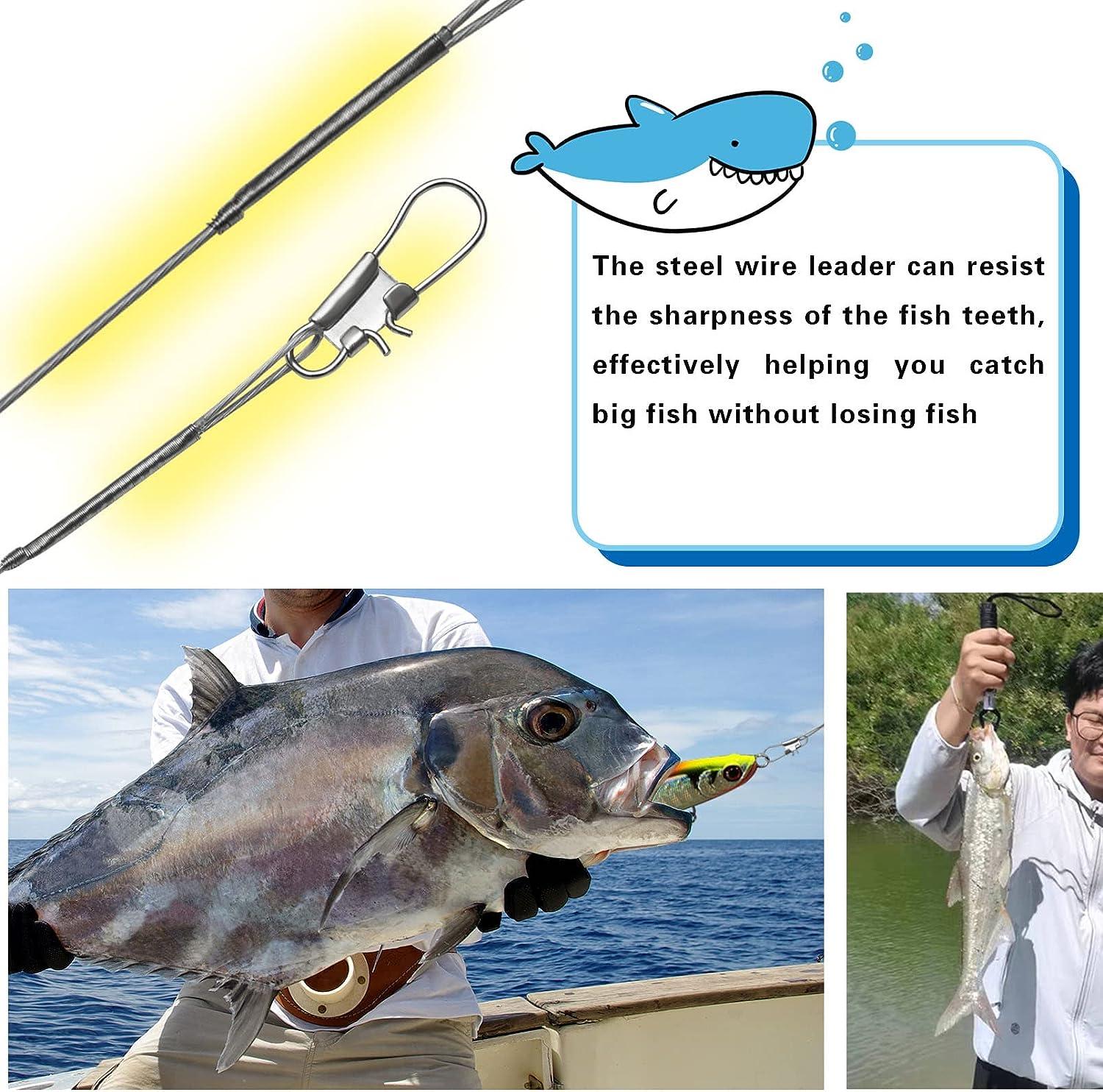 Benykyo Fishing Leader 40 lb High Strength Fishing Leaders with Swivels and  Snaps,Steel Fishing Leaders Freshwater & Saltwater,Silver 60Pcs 12