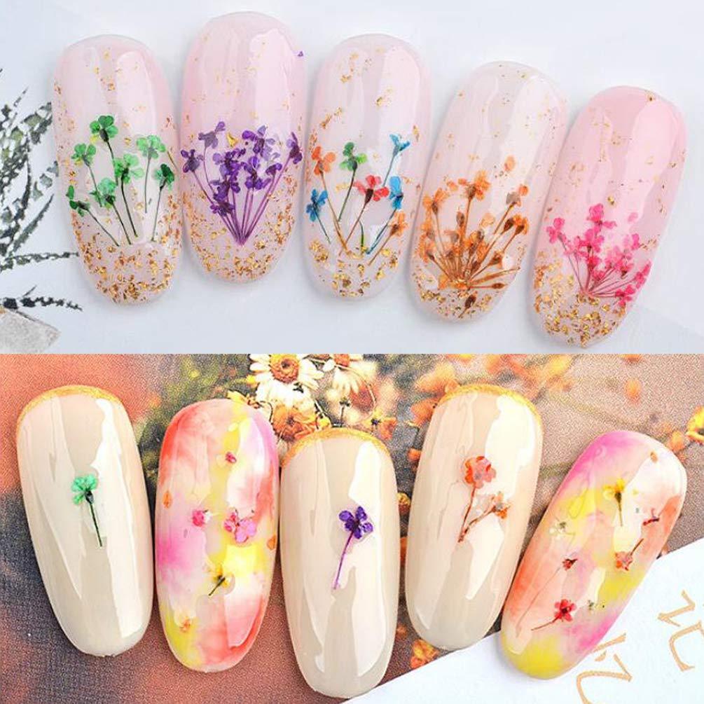 108PCS Dried Flowers for Nail Art - 33 Color Lovely Natural Flower Nail  Art, 2 Color Foil Nail Art, Nail Art Accessories Kits, Dried Flowers for  Resin Molds, YWLI (Dried Flowers + Foil)