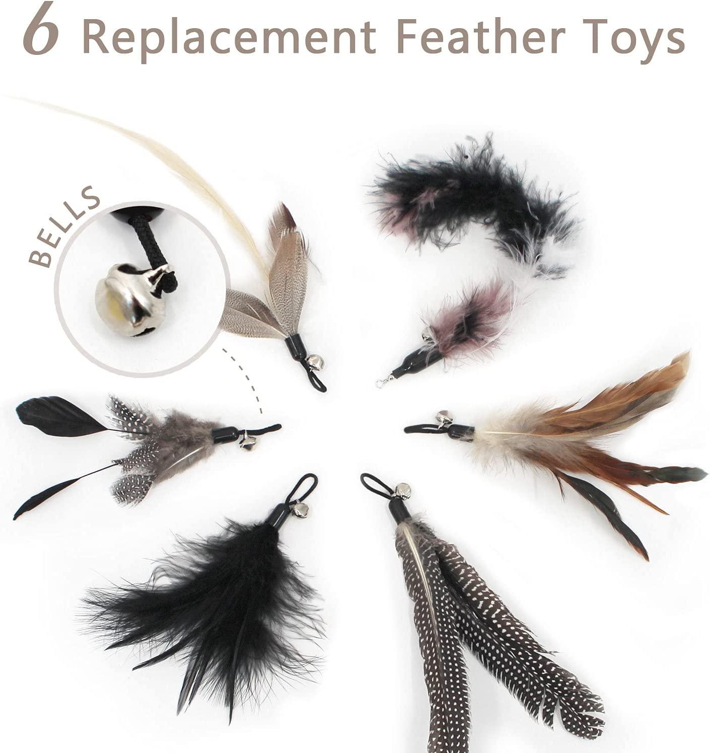 SONGWAY Interactive Cat Feather Toys - 7 Pcs Cat Toy Set, Retractable Cat  Wand Toy, Teaser Refills Worm Bird Feathers with Bell, Cat Teaser Toys for Indoor  Cats Kitten Play Chase Exercise, Black