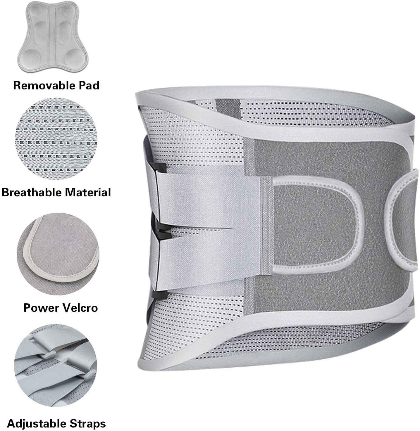 Gowhods Back Support Belt with Removable Pad Breathable Lumbar back brace  for pain relief Herniated Disc Unisex Waist Trimmer with Adjustable Straps  for Sports Daily Office L/XL