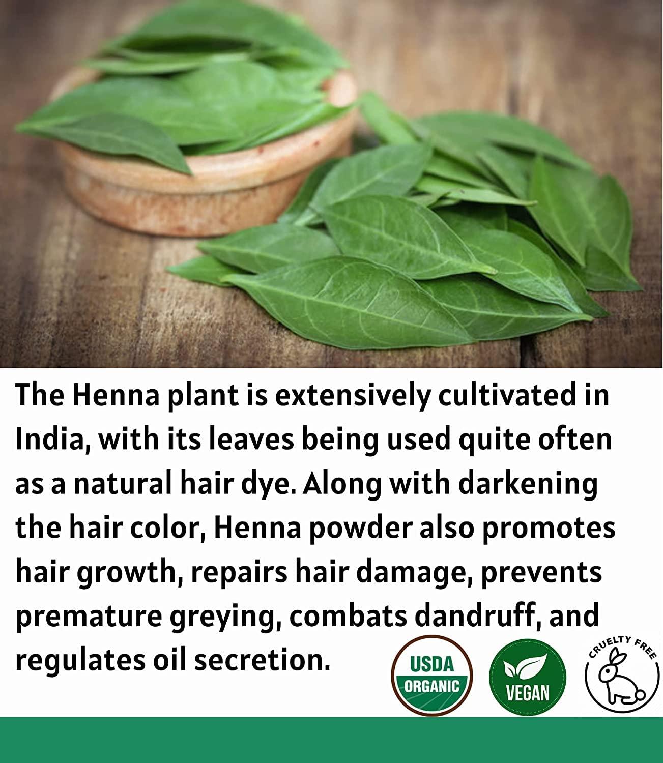 Noor Chamak - INGREDIENTS added to Henna for shiny and glossy hair . .  INGREDIENTS . Mehendi powder - 150 gms approx. ( Take according to length  of your hair ) This