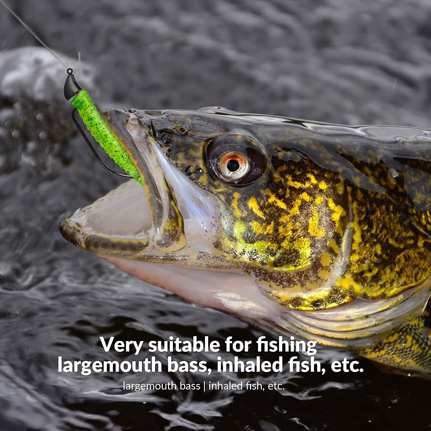 FishTrip Bullet Jig Heads Swimbait Hooks Bass Fishing Texas Rig Hook  Saltwater Freshwater Offset Weighted Hook Weedless