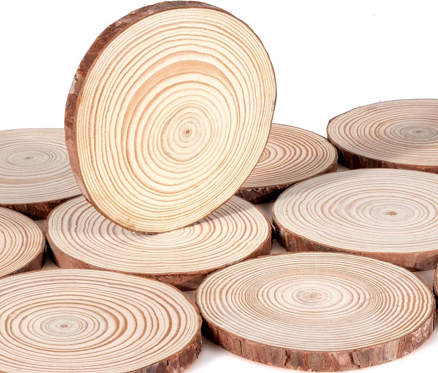 DIY Unfinished Log Round Wood Slices Natural 10 Inches