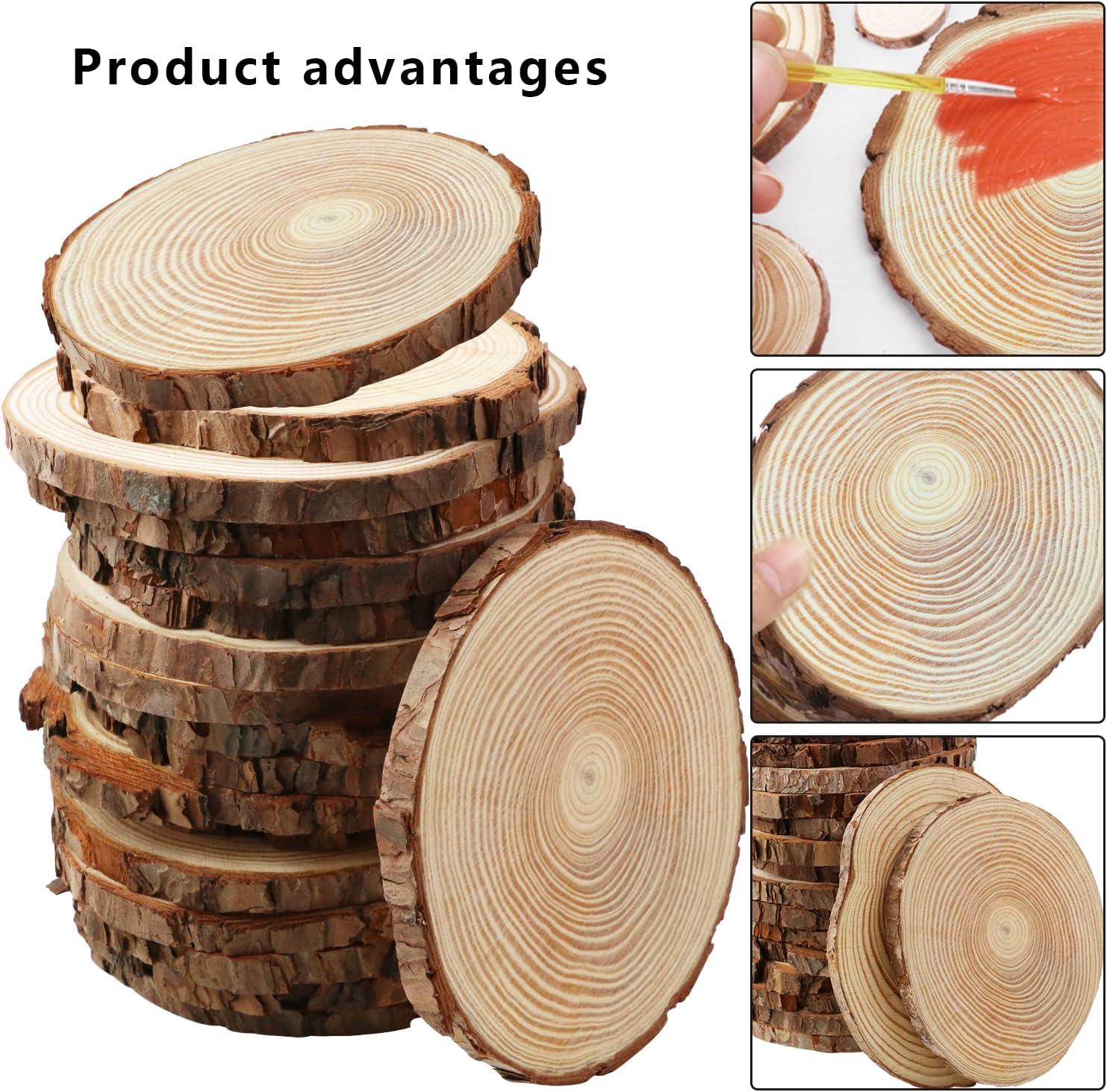 Tree Slices: 25 Wood Discs & Wood rounds for sale