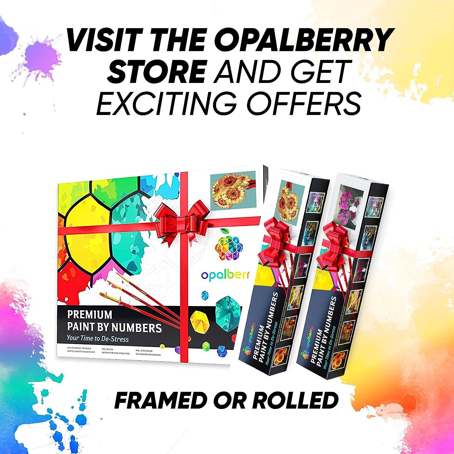 Opalberry Paint By Numbers For Adults Framed - Adults Paint-By-Number Kits  On Canvas - Paint By Numbers For Adults With Frame 